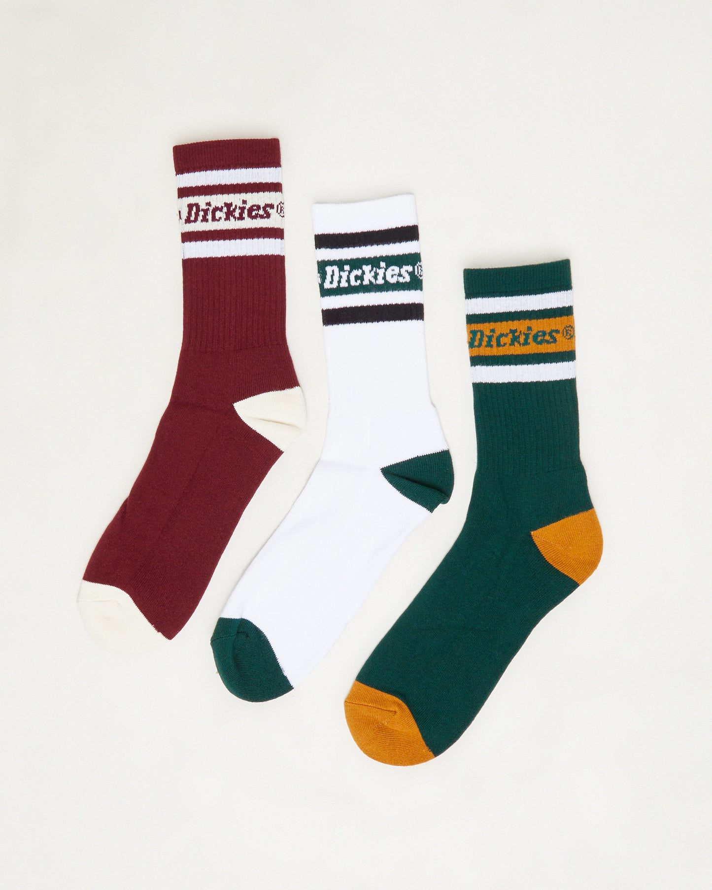 Standard 3 Pack Socks in Multi