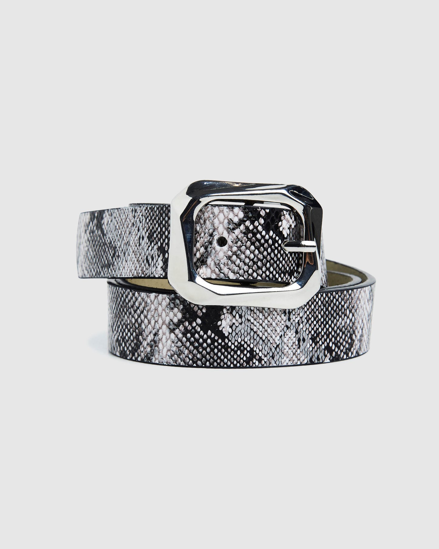 Nova Belt Black Snake
