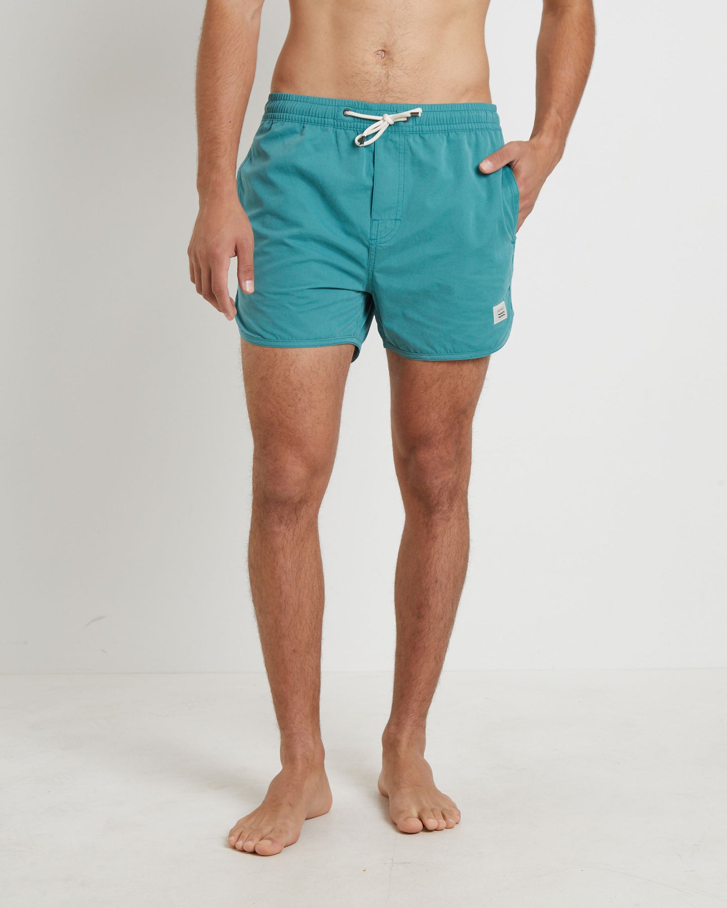 Avalon Volley Boardshorts in Green