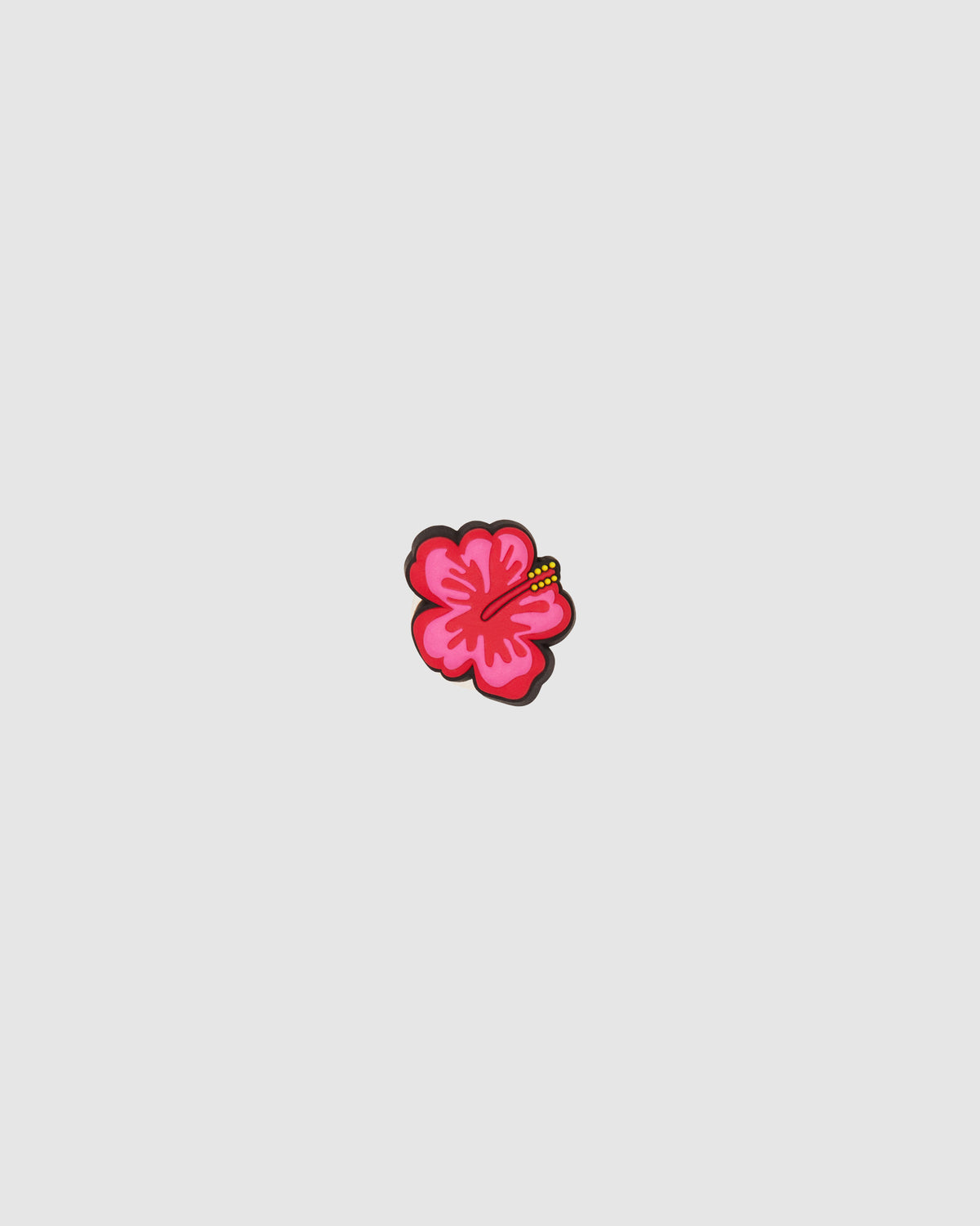 Hibiscus Jibbit ASST