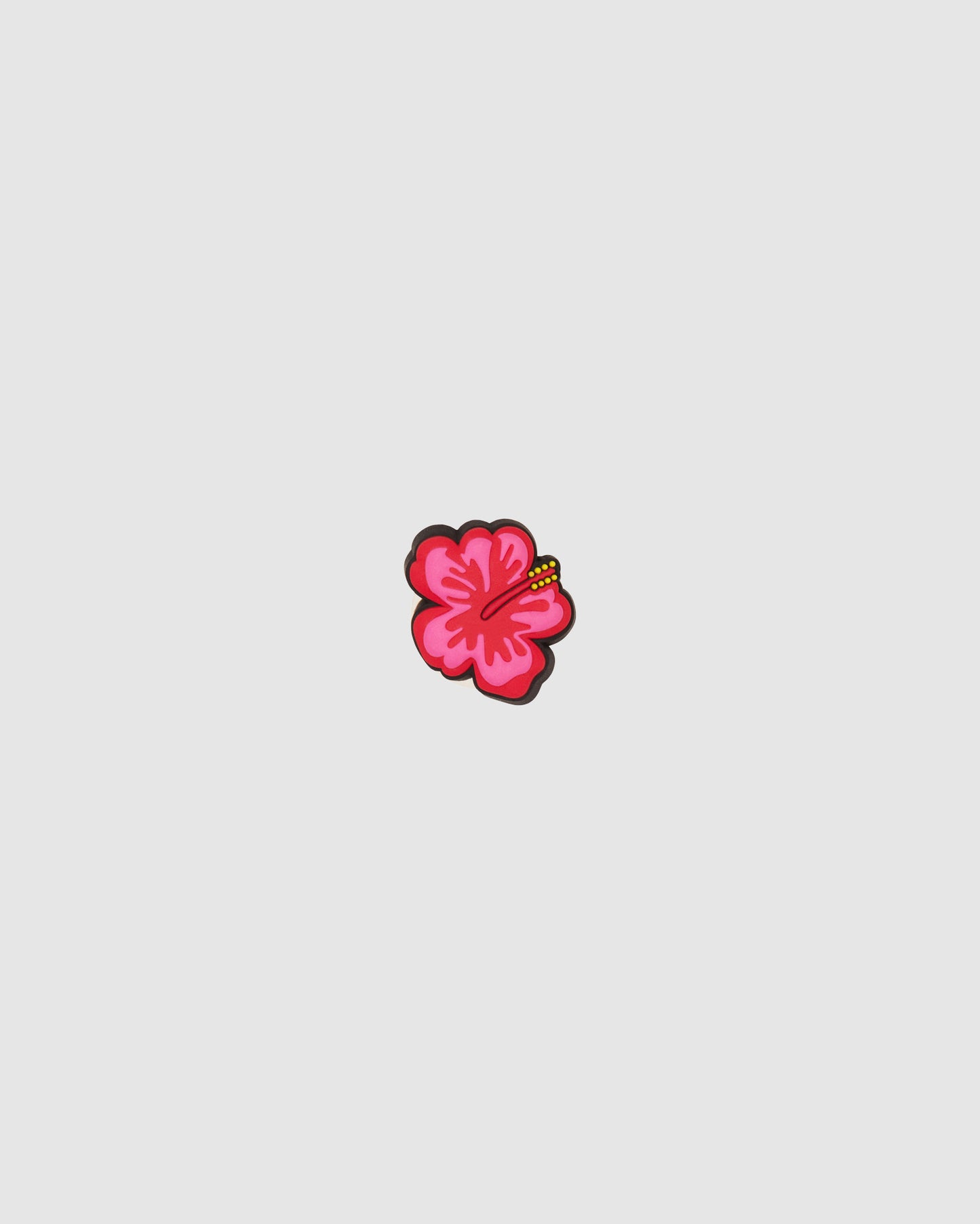 Hibiscus Jibbit