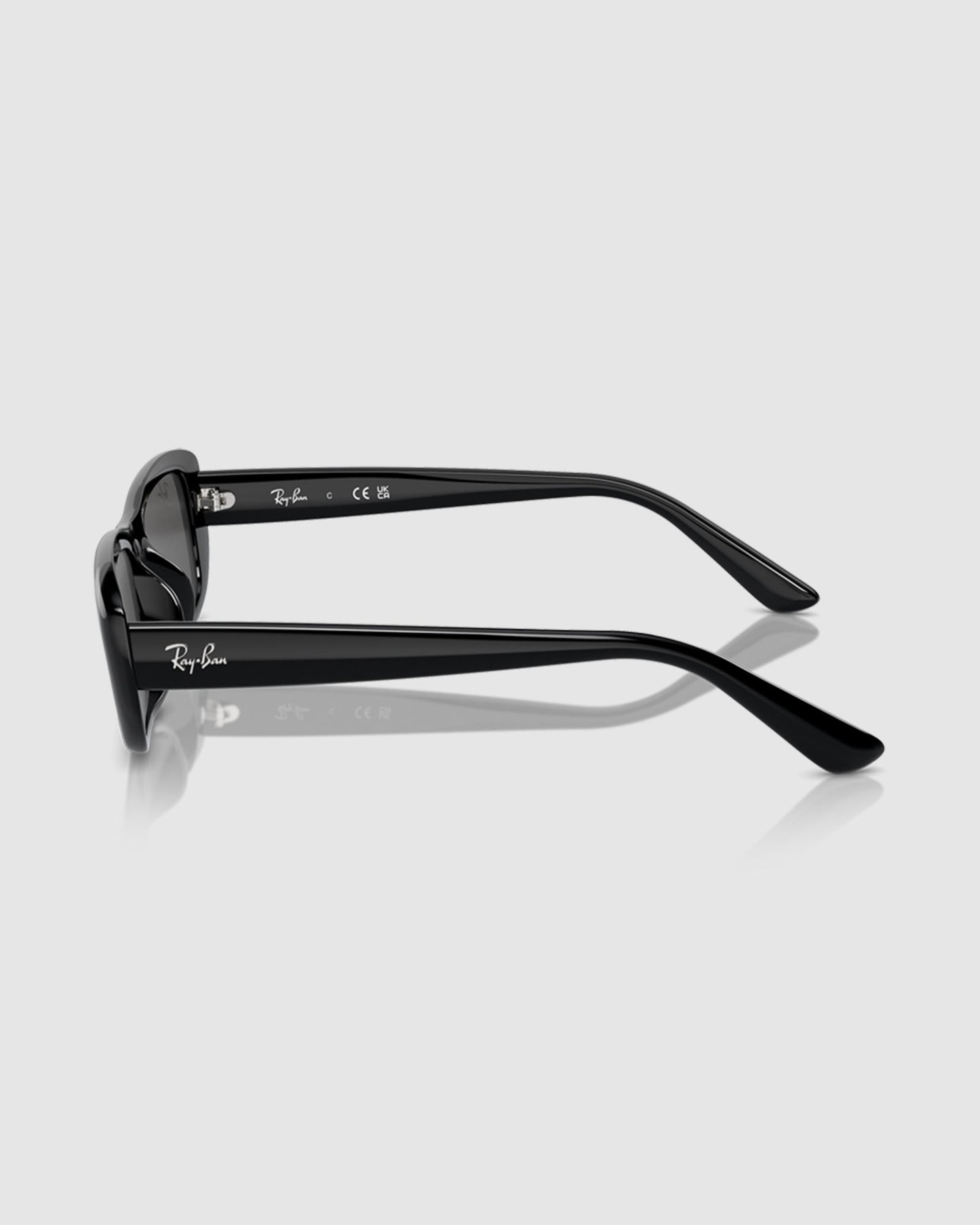 RB4436D Sunglasses