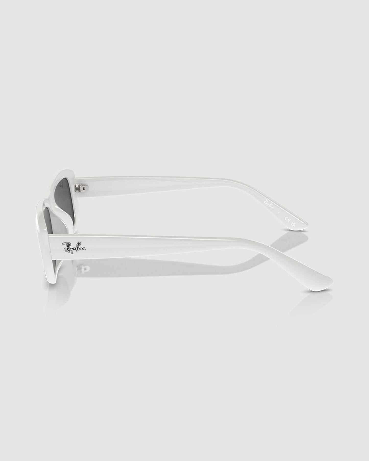 RB4436D Sunglasses