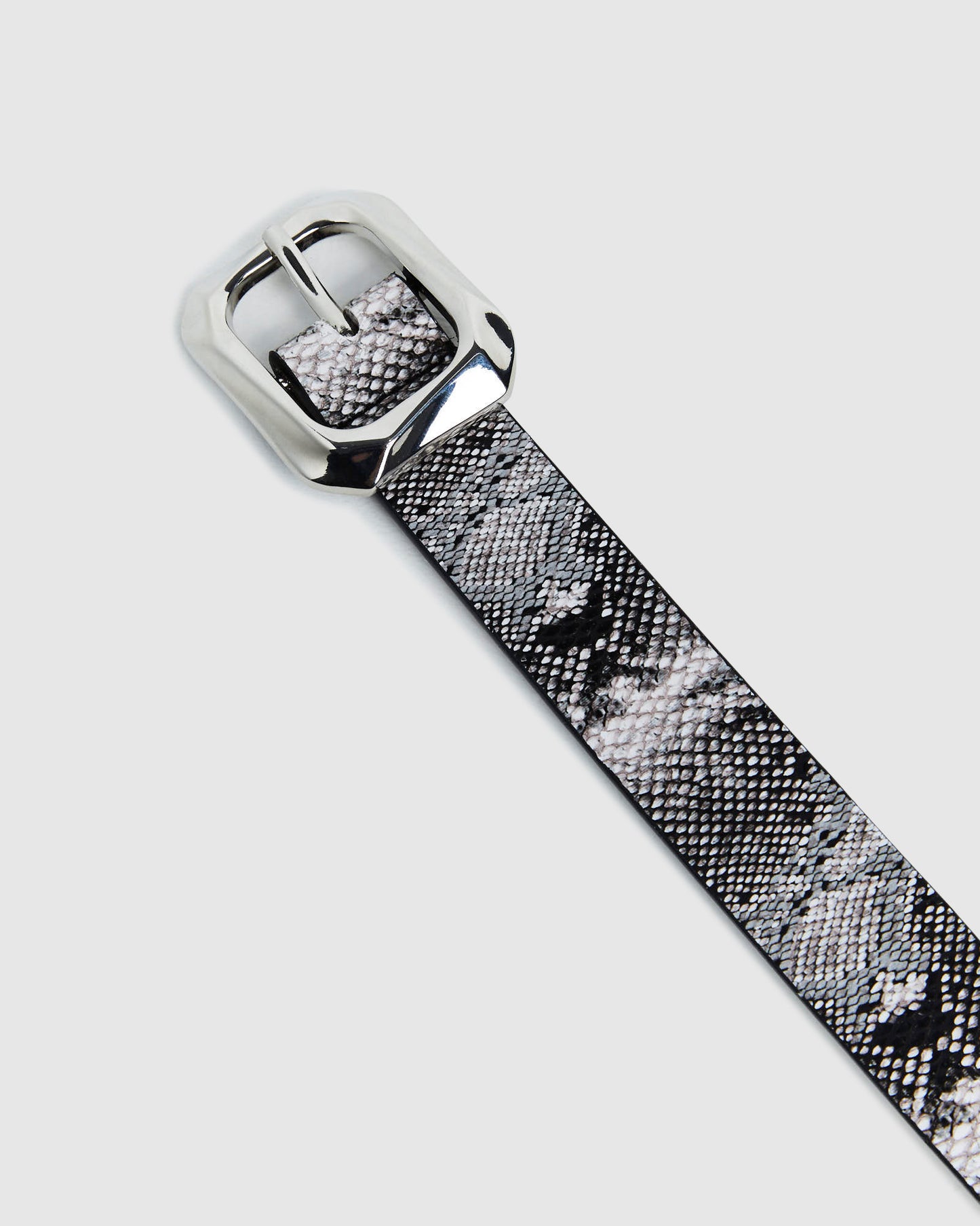 Nova Belt Black Snake