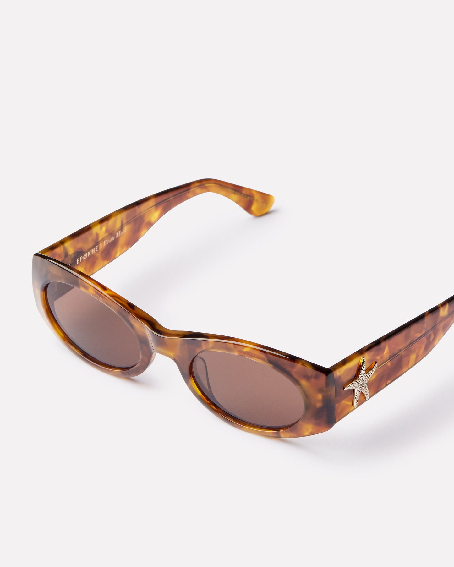 Evan Mock X Suede Sunglasses in Tortoise Polished/Bronze