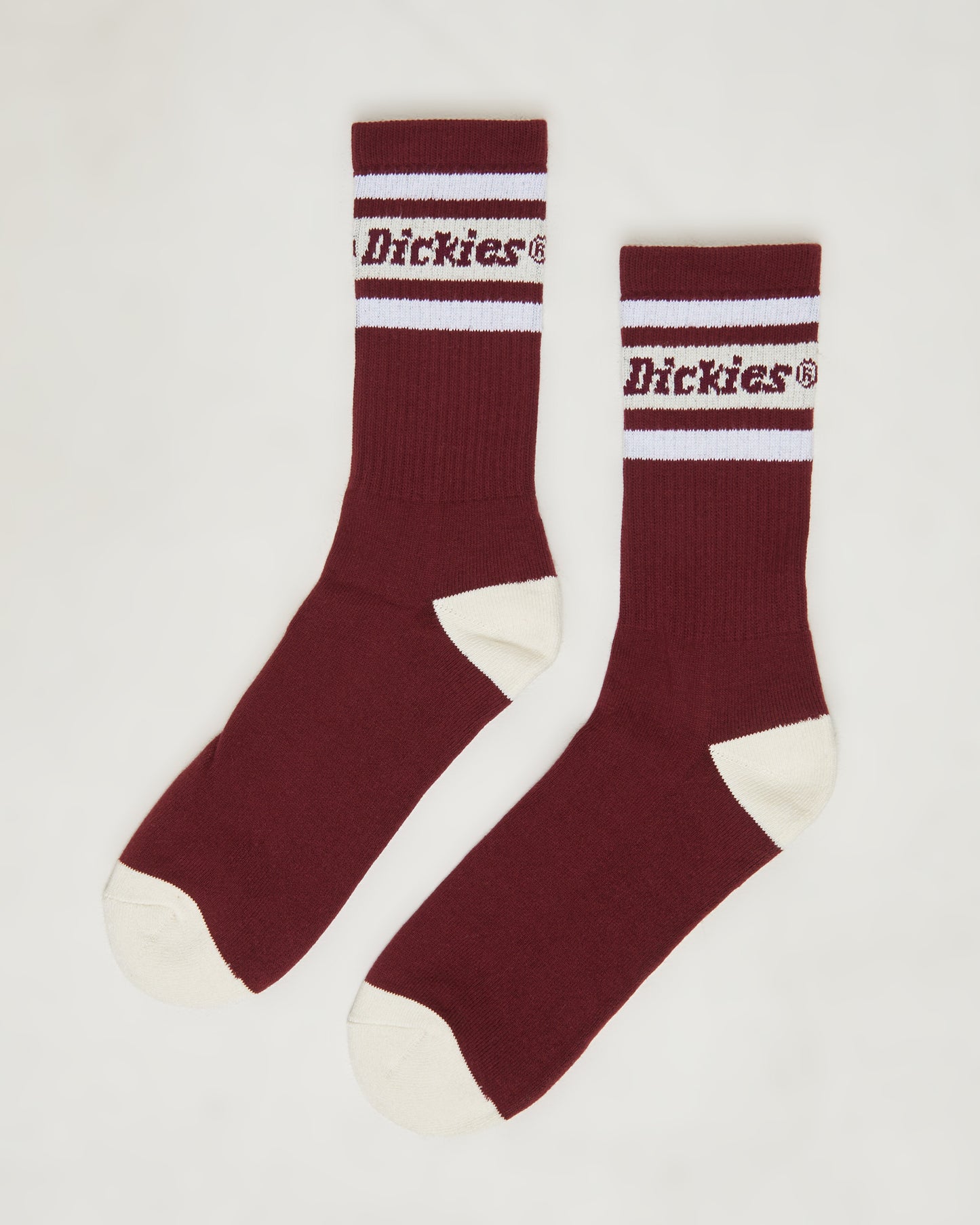 Standard 3 Pack Socks in Multi