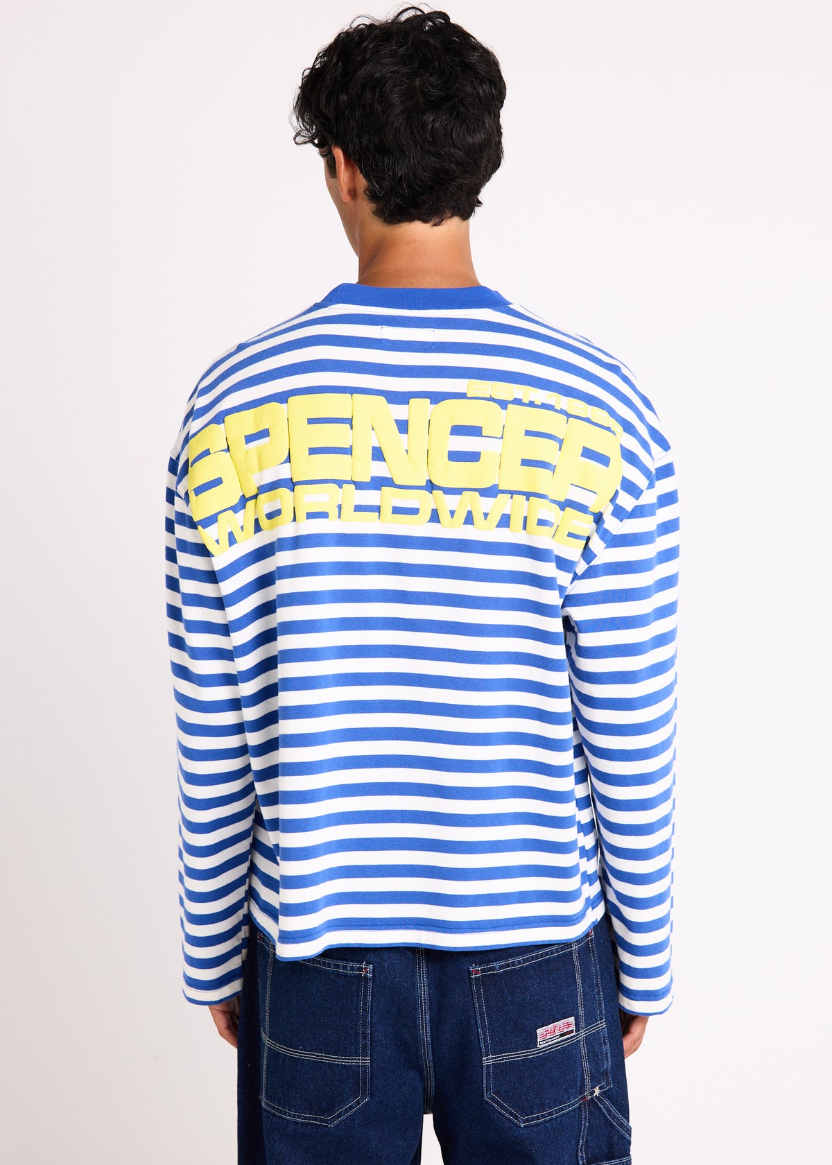 Minor Stripe Long Sleeve T-Shirt BLUE