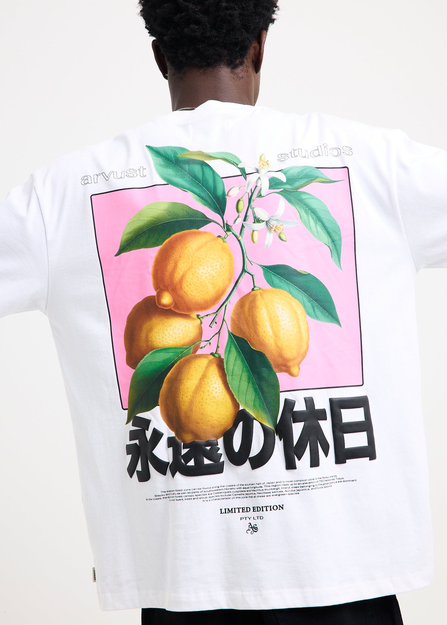 Sunfade T-Shirt