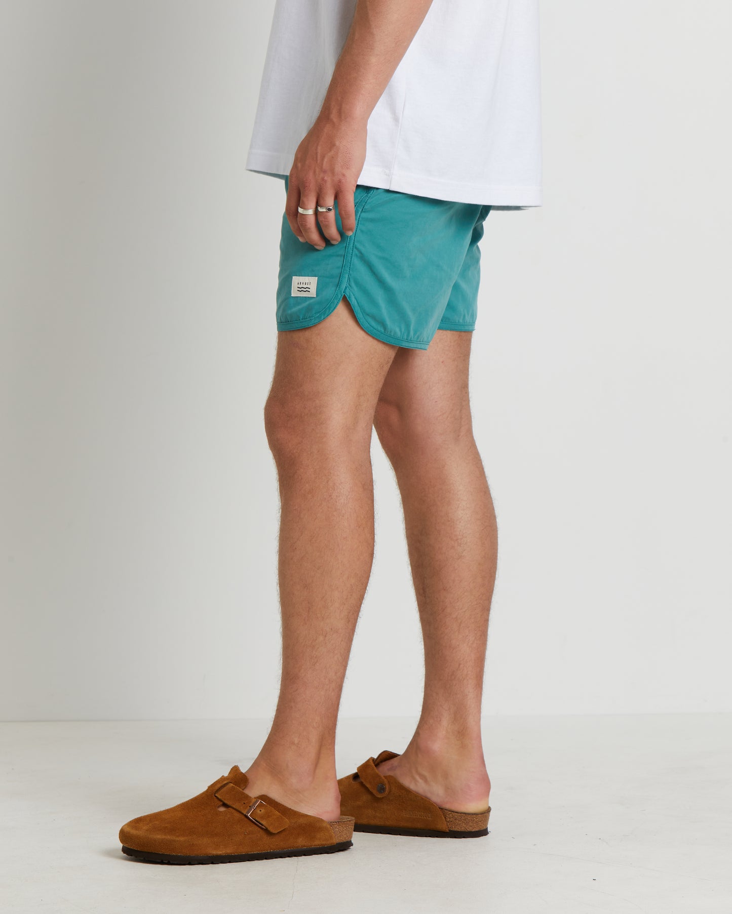 Avalon Volley Boardshorts in Green