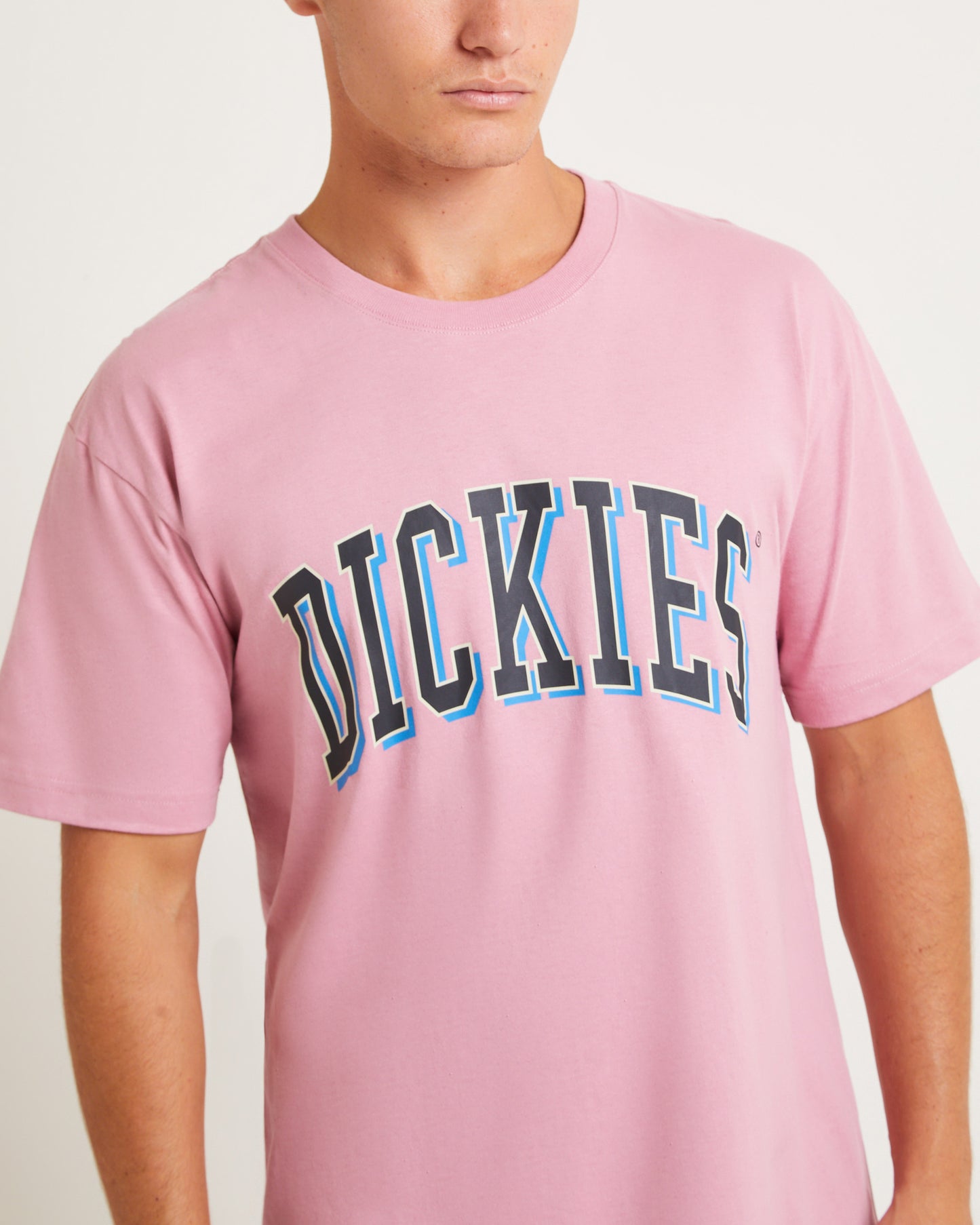 Longview Short Sleeve T-Shirt in Rose
