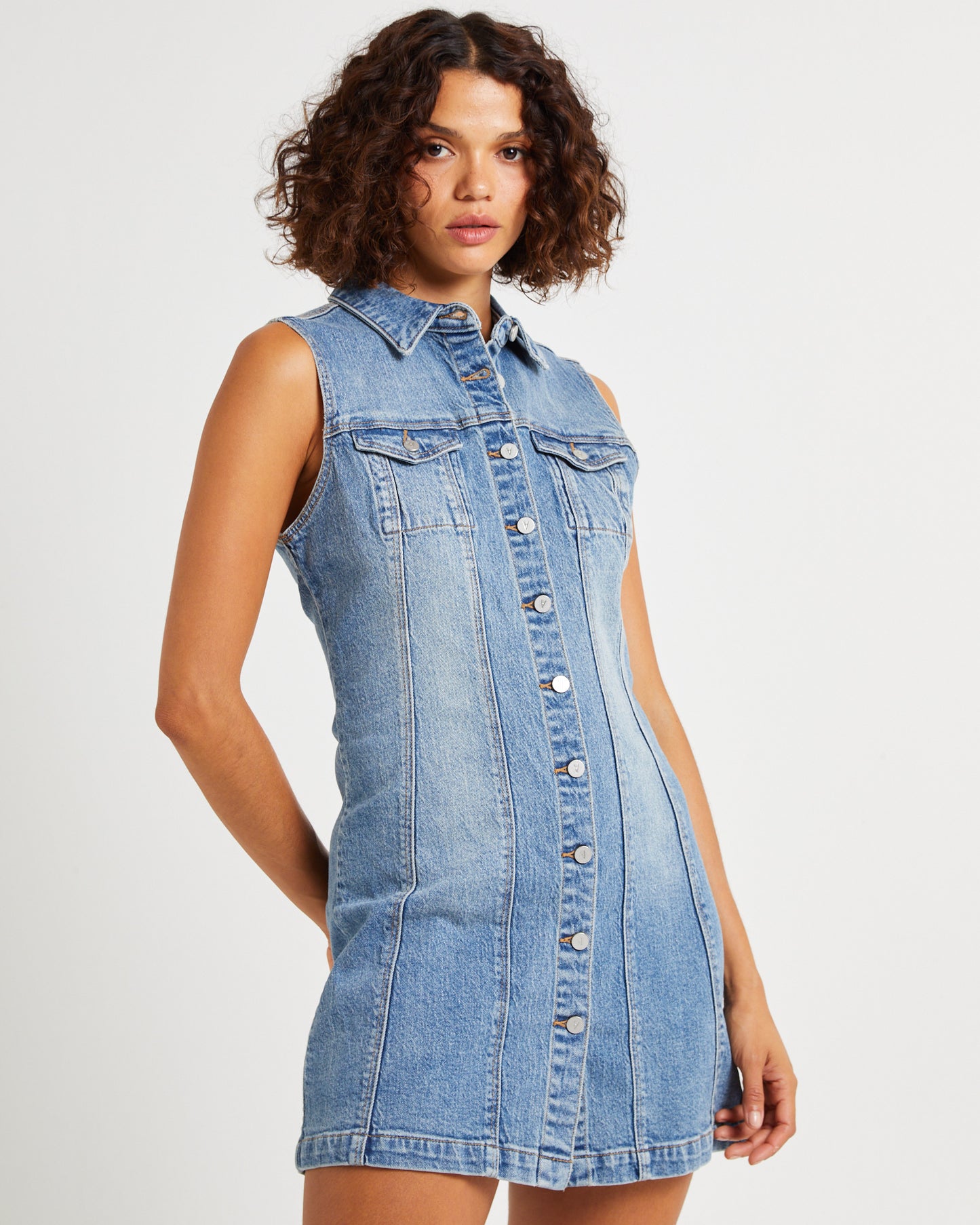Button Up Denim Mini Dress Lula