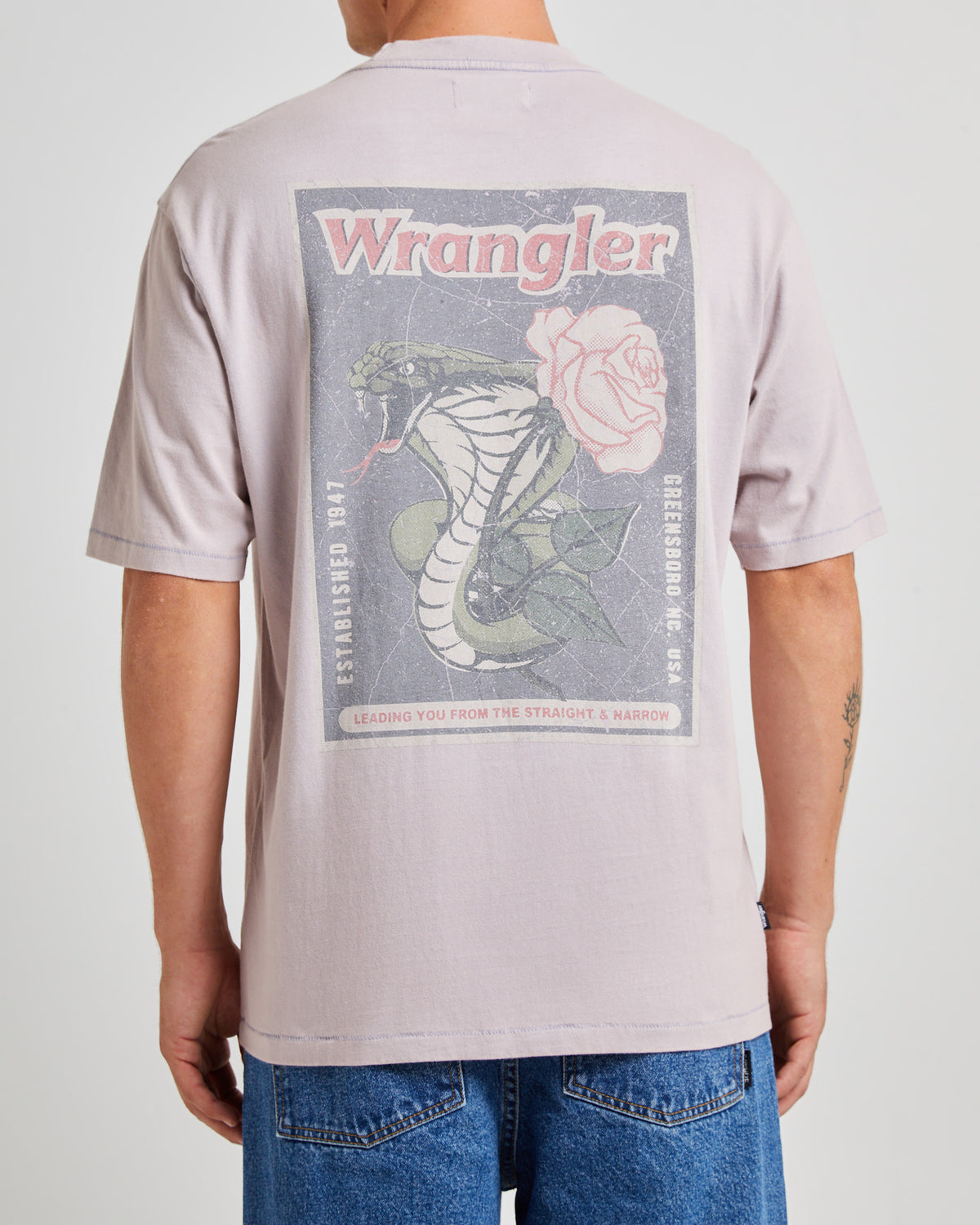 Cobra Slacker Short Sleeve T-Shirt Dirty Blue PURPLE