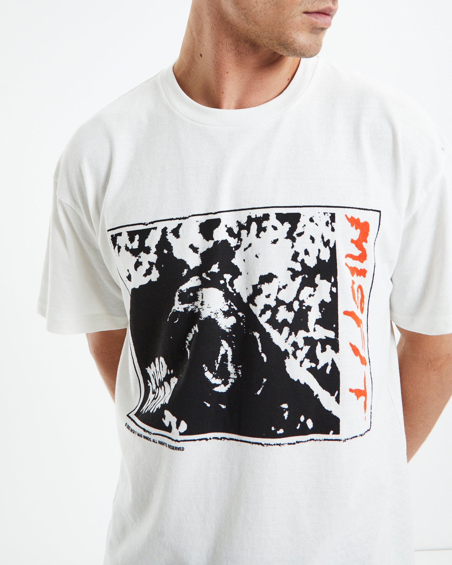 Pangolin 50/50 AAA T-Shirt Washed White
