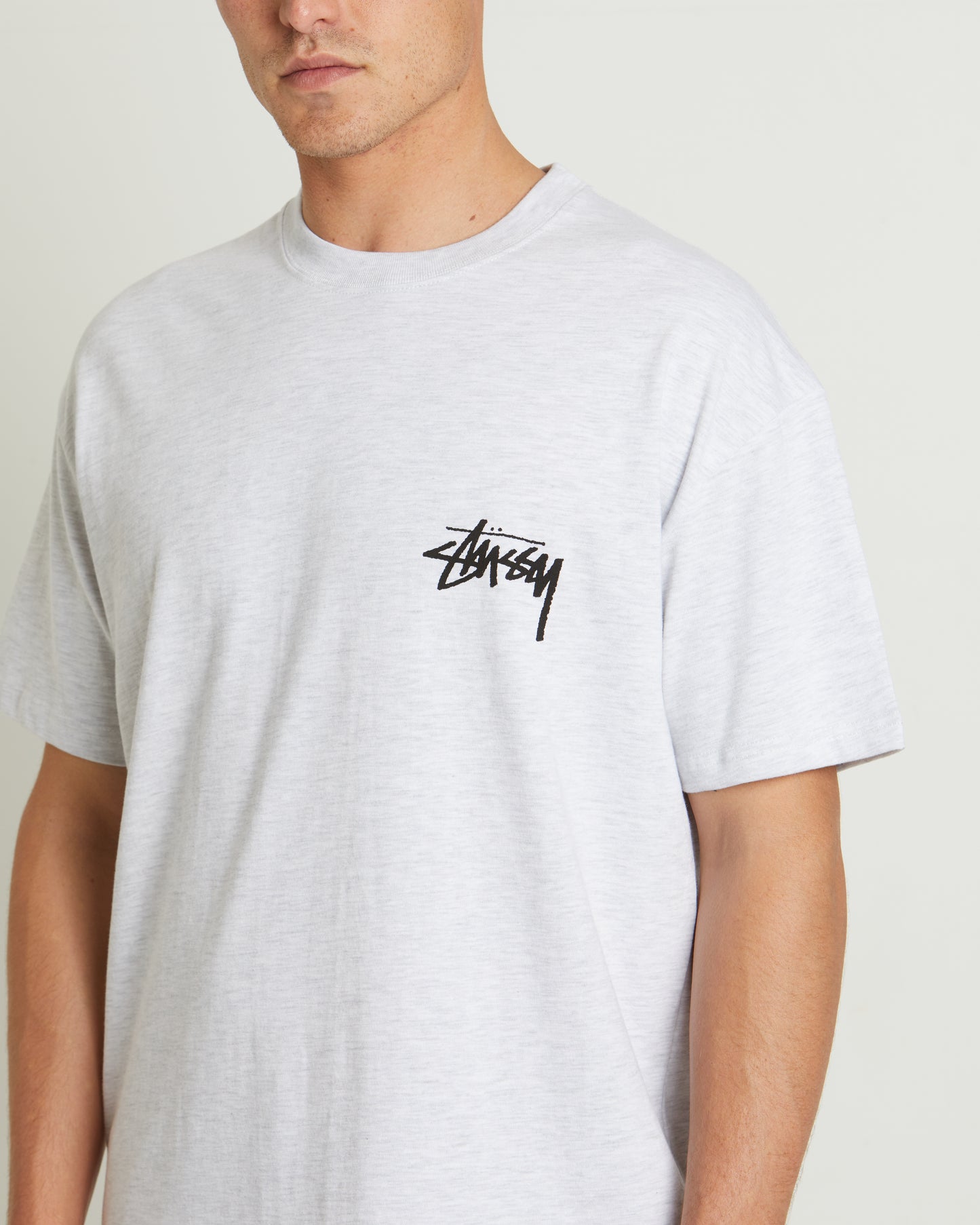 Fuzzy Dice Heavyweight Short Sleeve T-Shirt in Snow Marle Grey