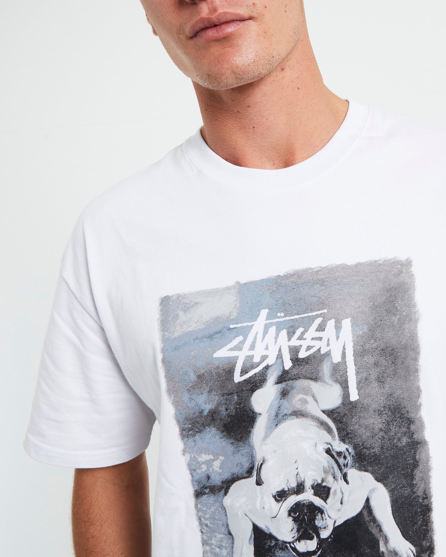 Bulldog Heavyweight Short Sleeve T-Shirt in White