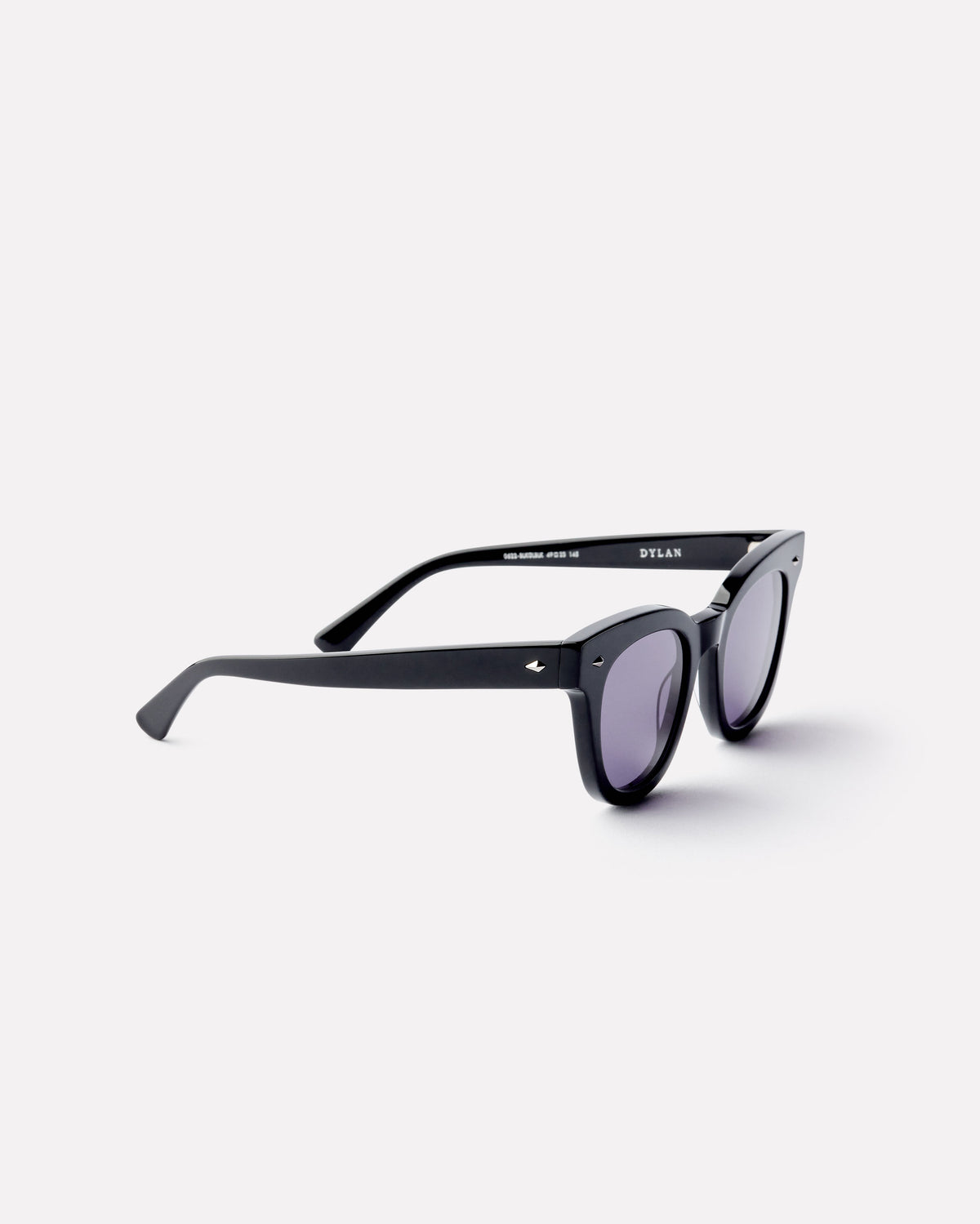 Dylan Sunglasses in Black Polished Black Polished / Black