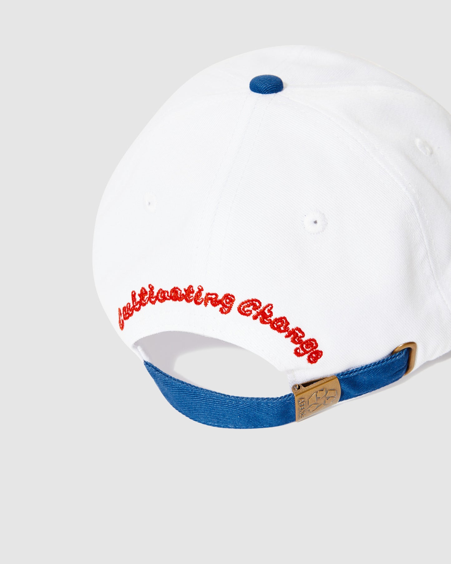 Frogga Six Panel Cap