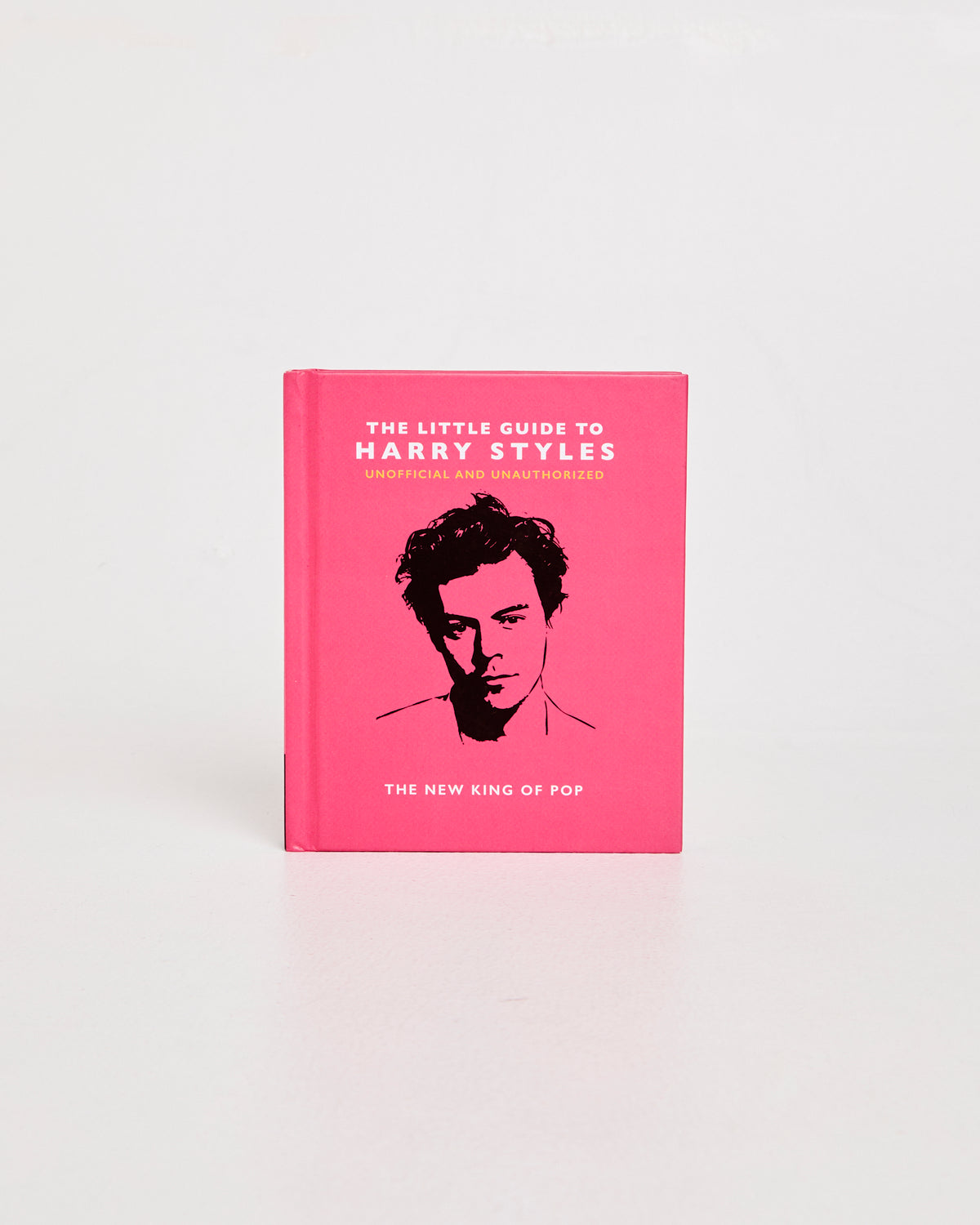 Little Guide To Harry Styles Book ASST