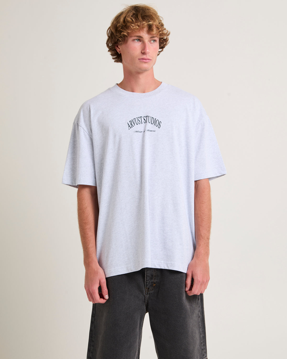 Arc Logo  T-Shirt FROST MARL