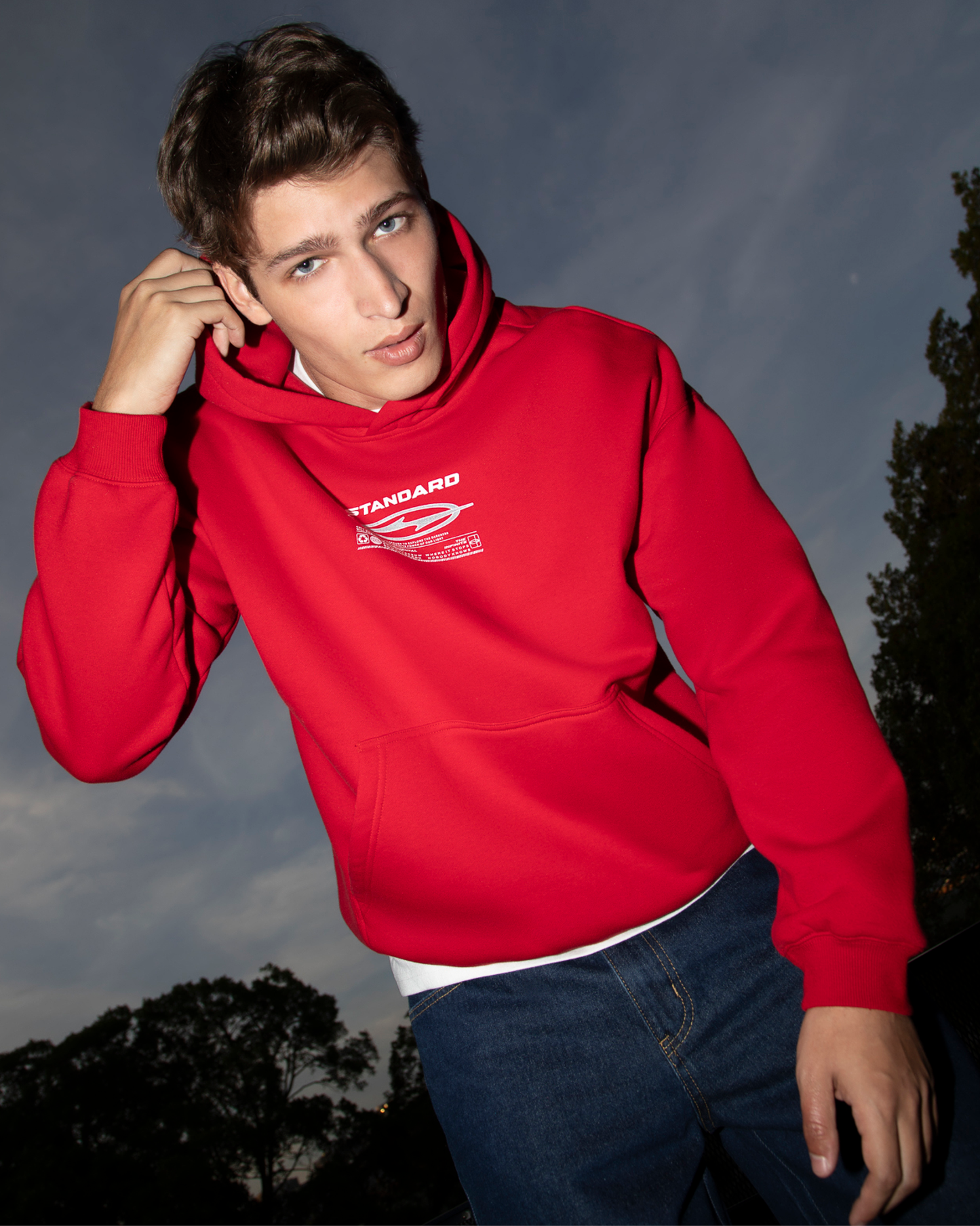 Voltron Hoodie