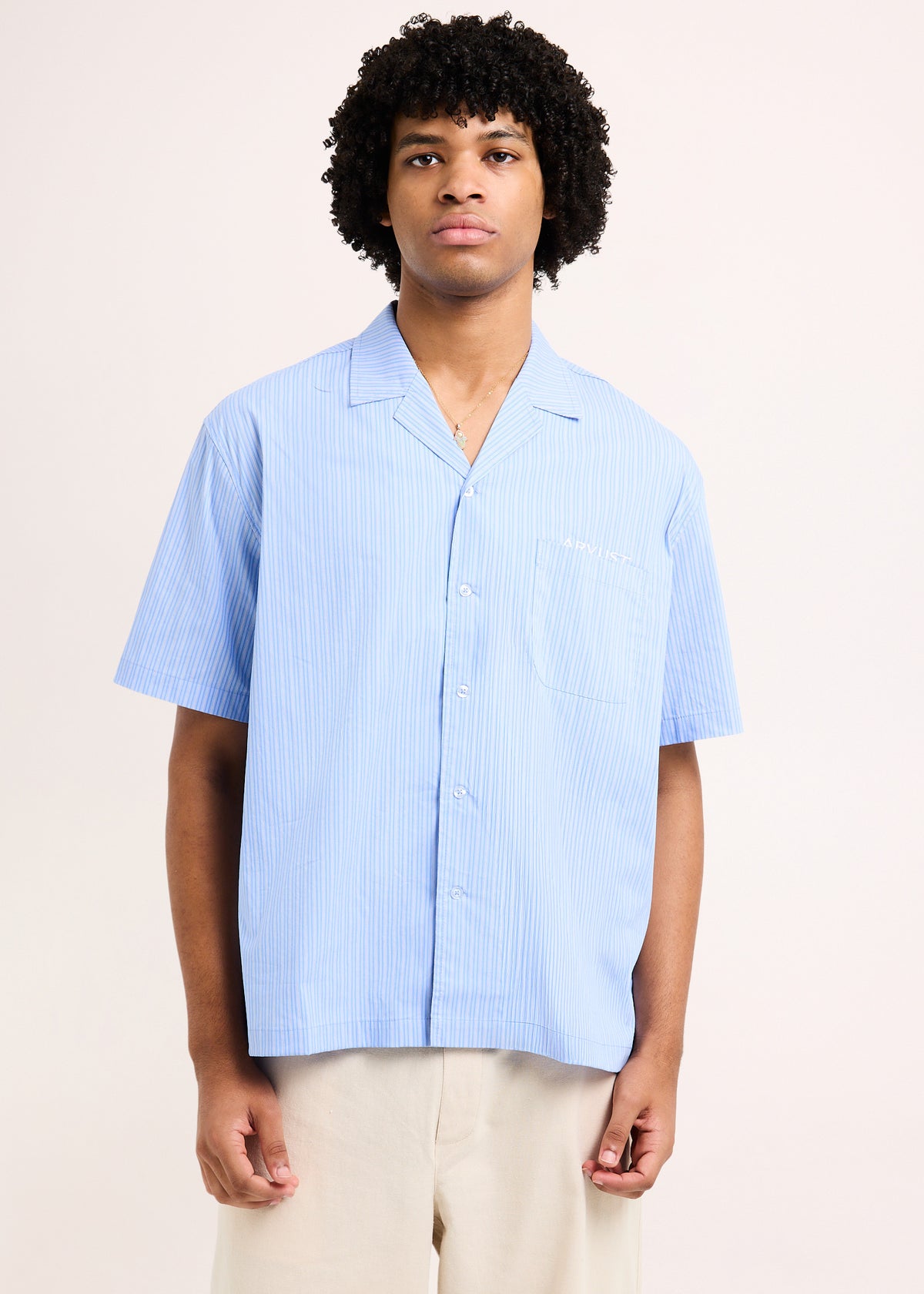 Box Striped Short Sleeve Shirt BLUE
