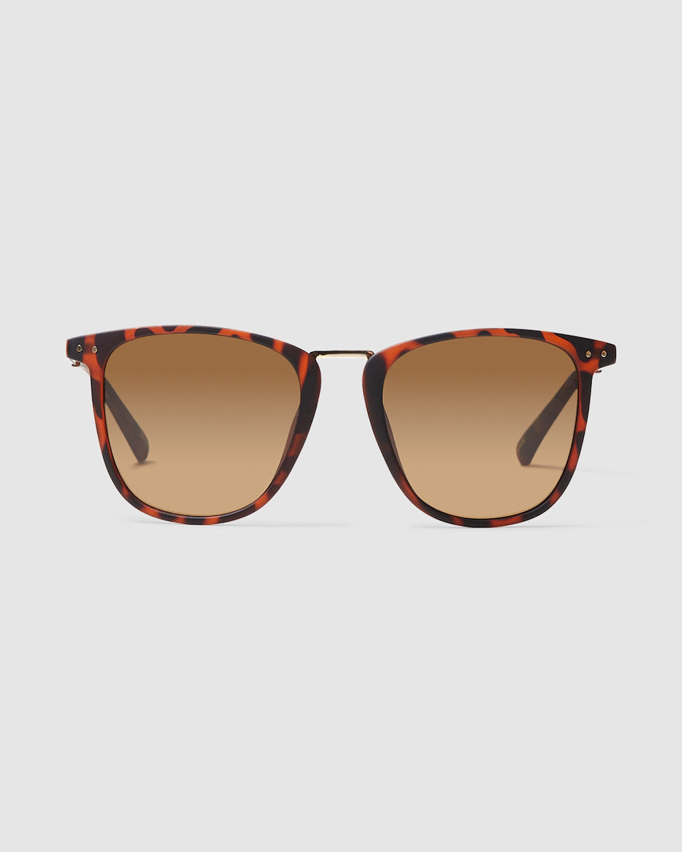 NYC Sunglasses Matte Tort Brown