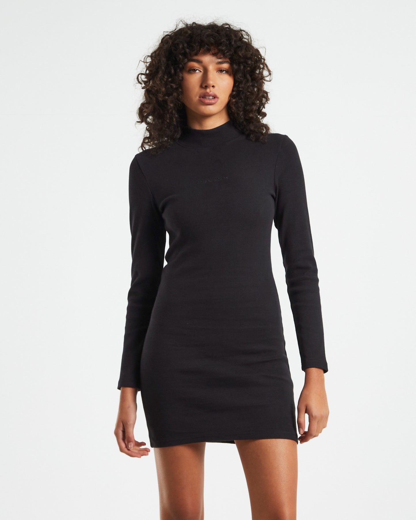 A Heather Long Sleeve Mock Neck Dress Black