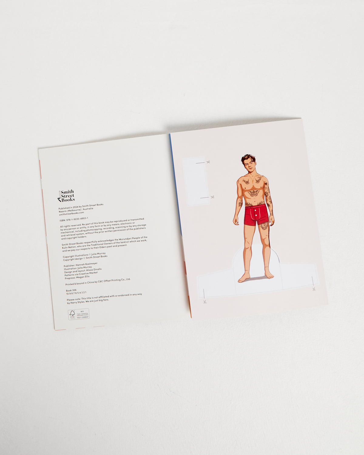 Dress Up Harry Styles Book ASST
