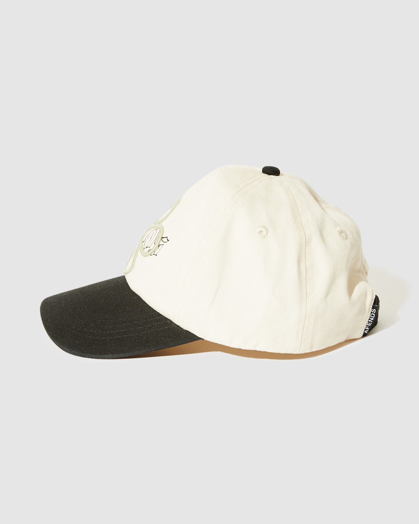 Landed Panelled Cap