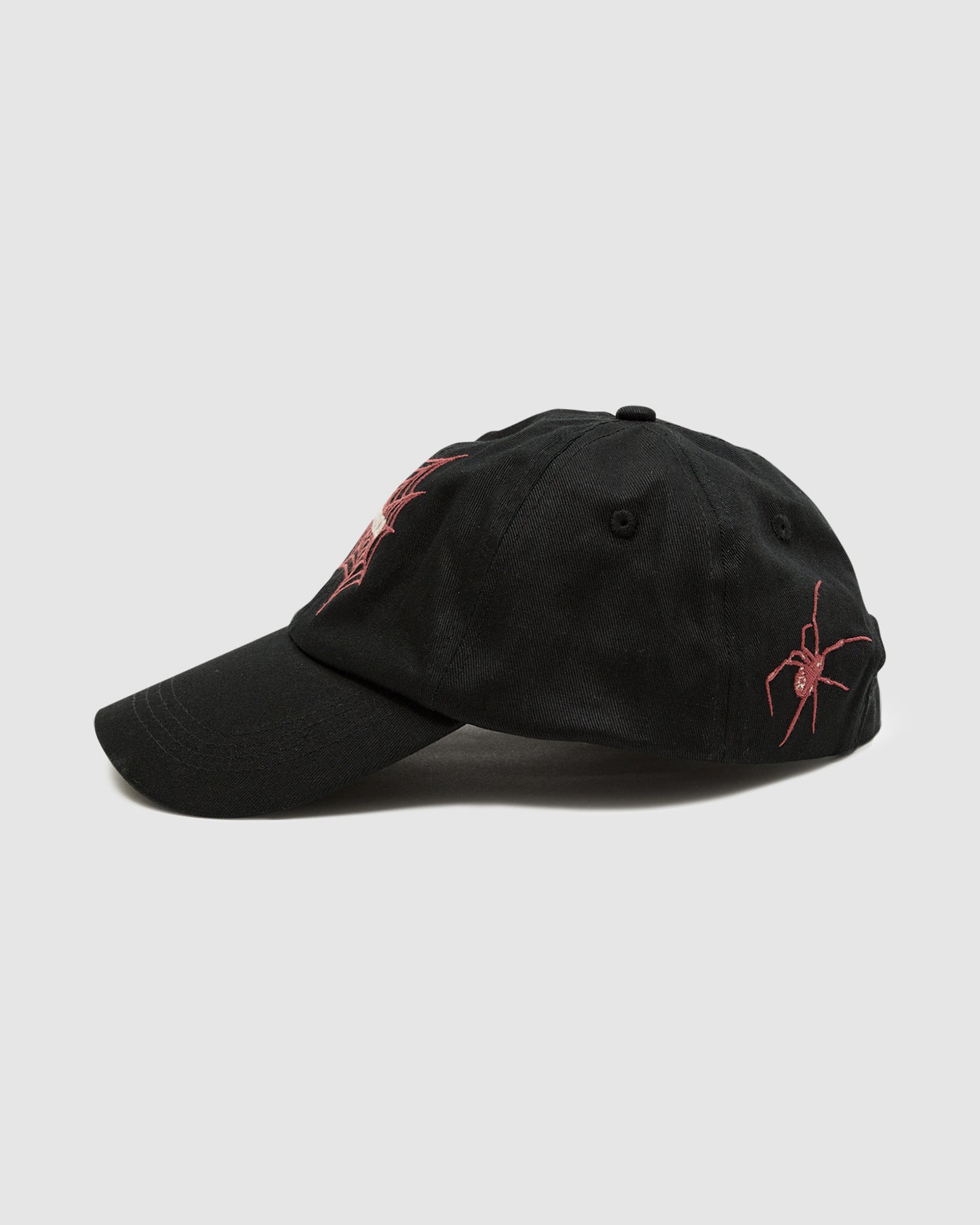 Webhead Six Panel Cap