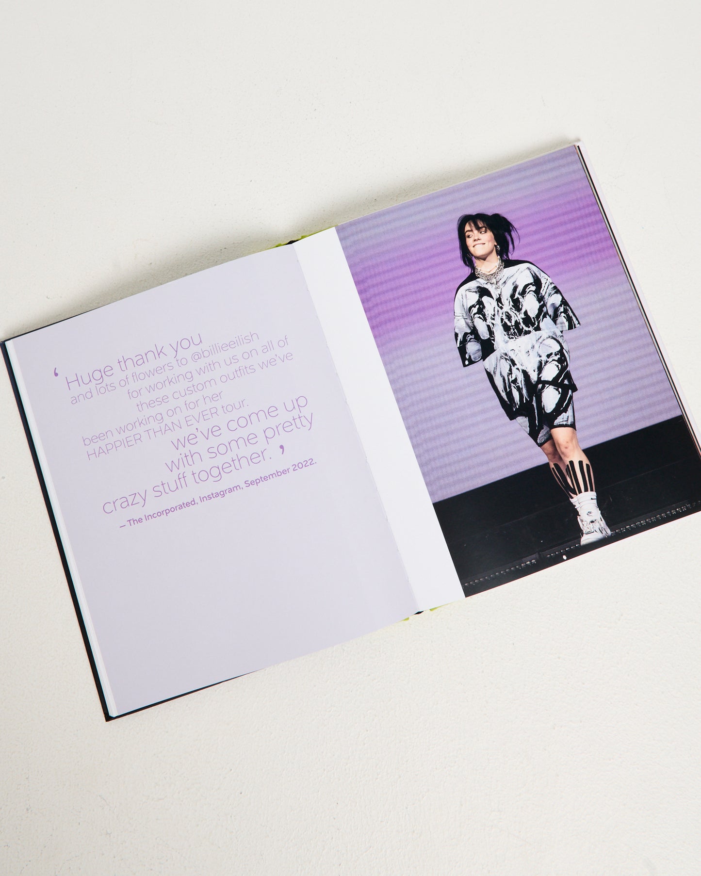 Billie Eilish: and the Clothes She Wears Book