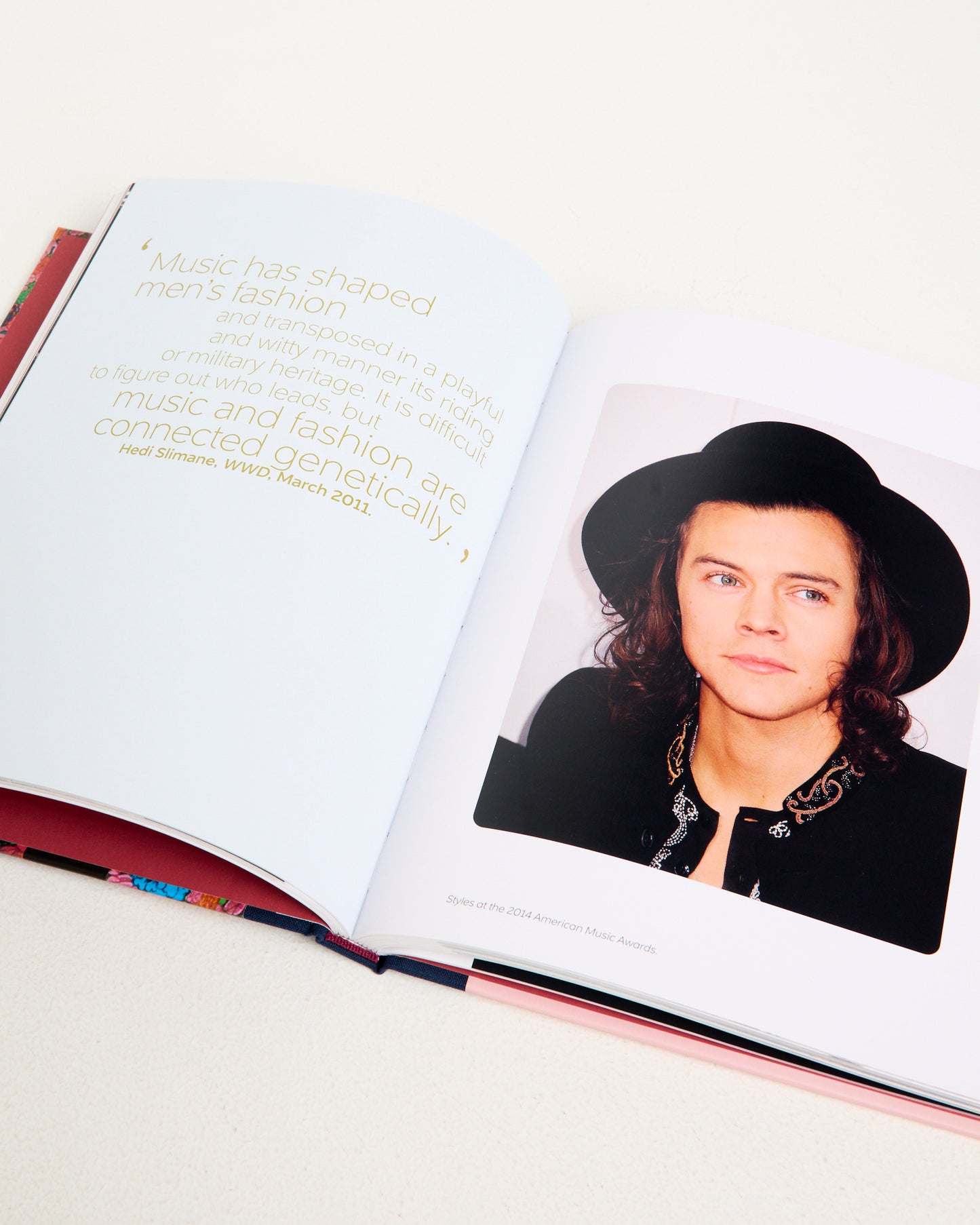 Harry Styles: and the Clothes He Wears Book