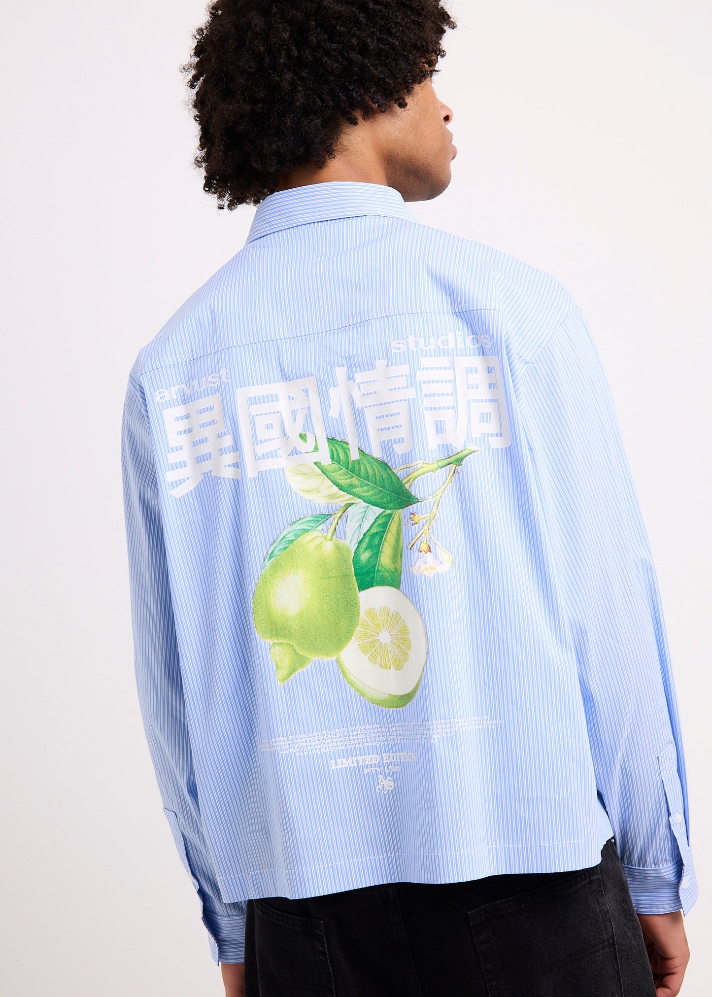 Honolulu Cropped Long Sleeve Shirt