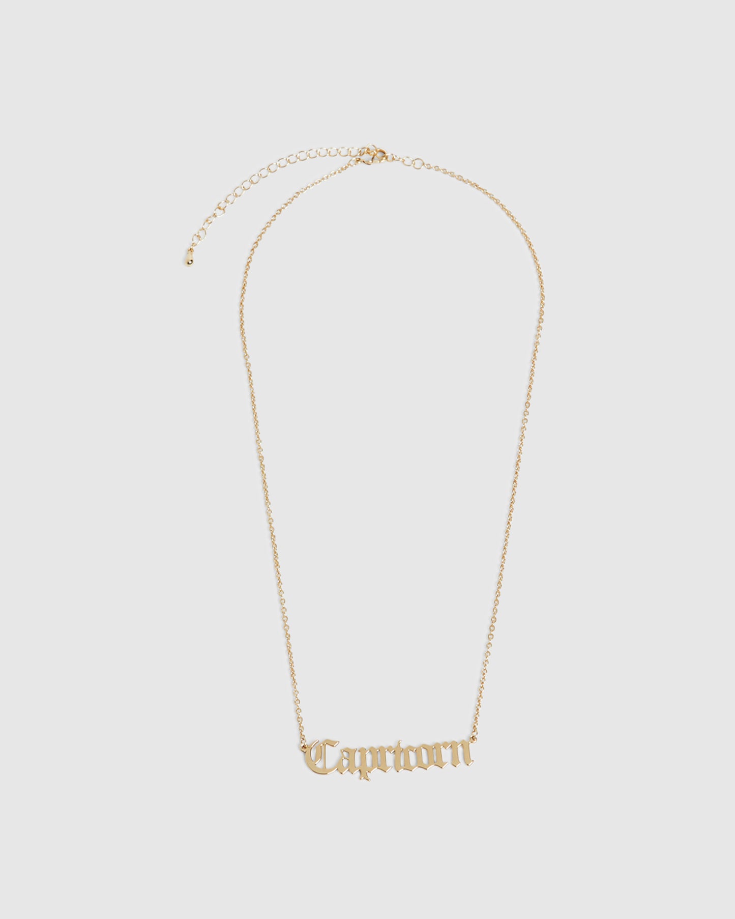 14k  Capricorn Star Sign Necklace