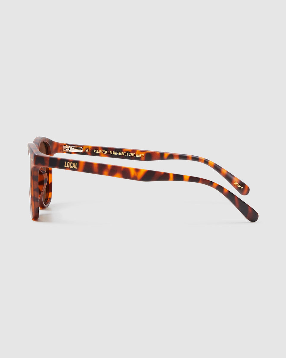 Syd Sunglasses Tort Brown