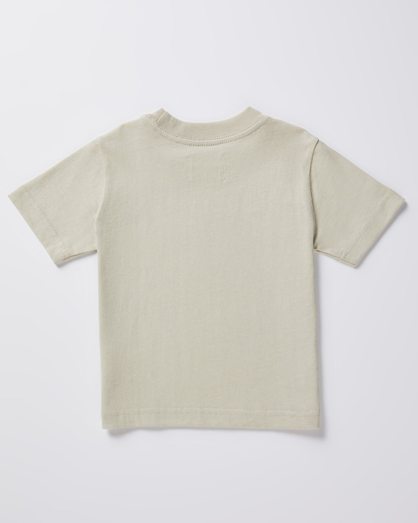 Boys OG Skate Short Sleeve T-Shirt in Stone