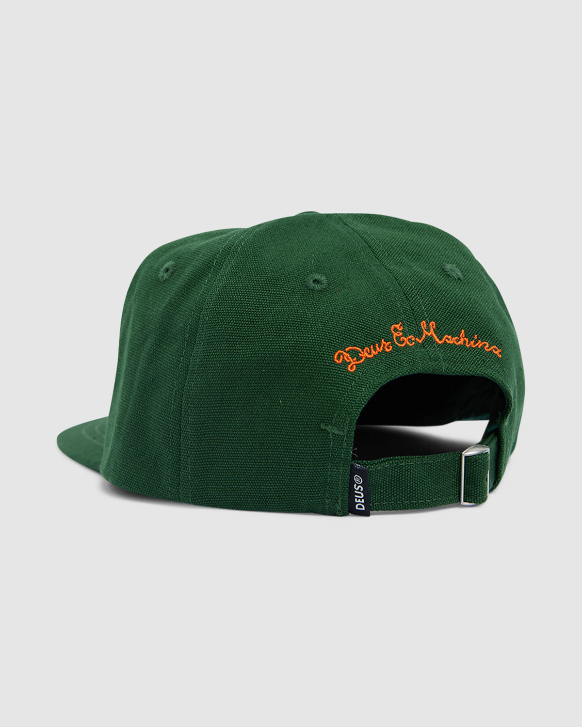 Sandy Cap FOREST