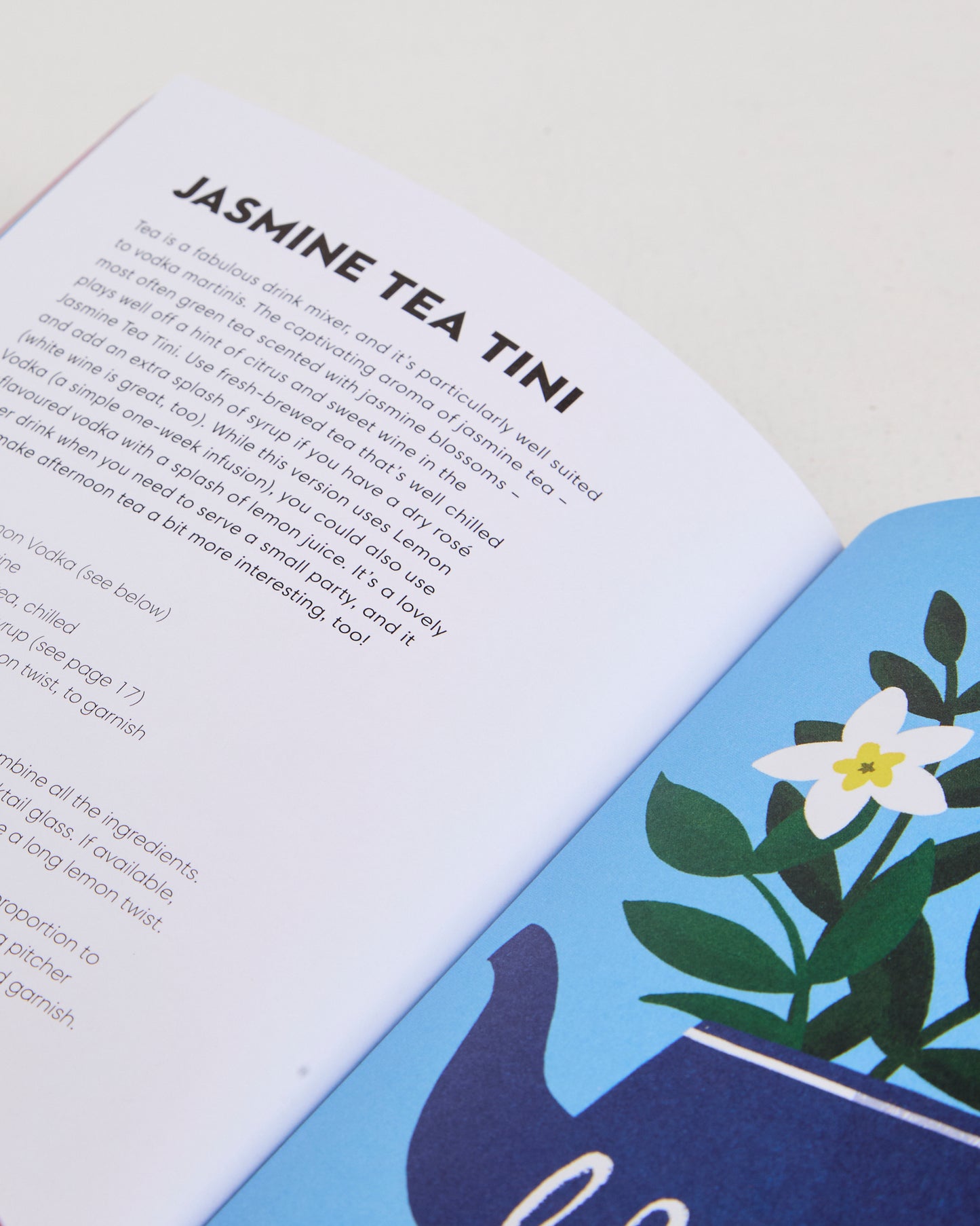 Vodka Made Me Do It Book