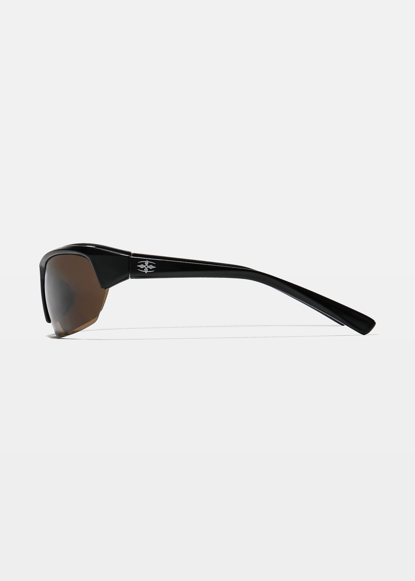 Break and Enter Sunglasses