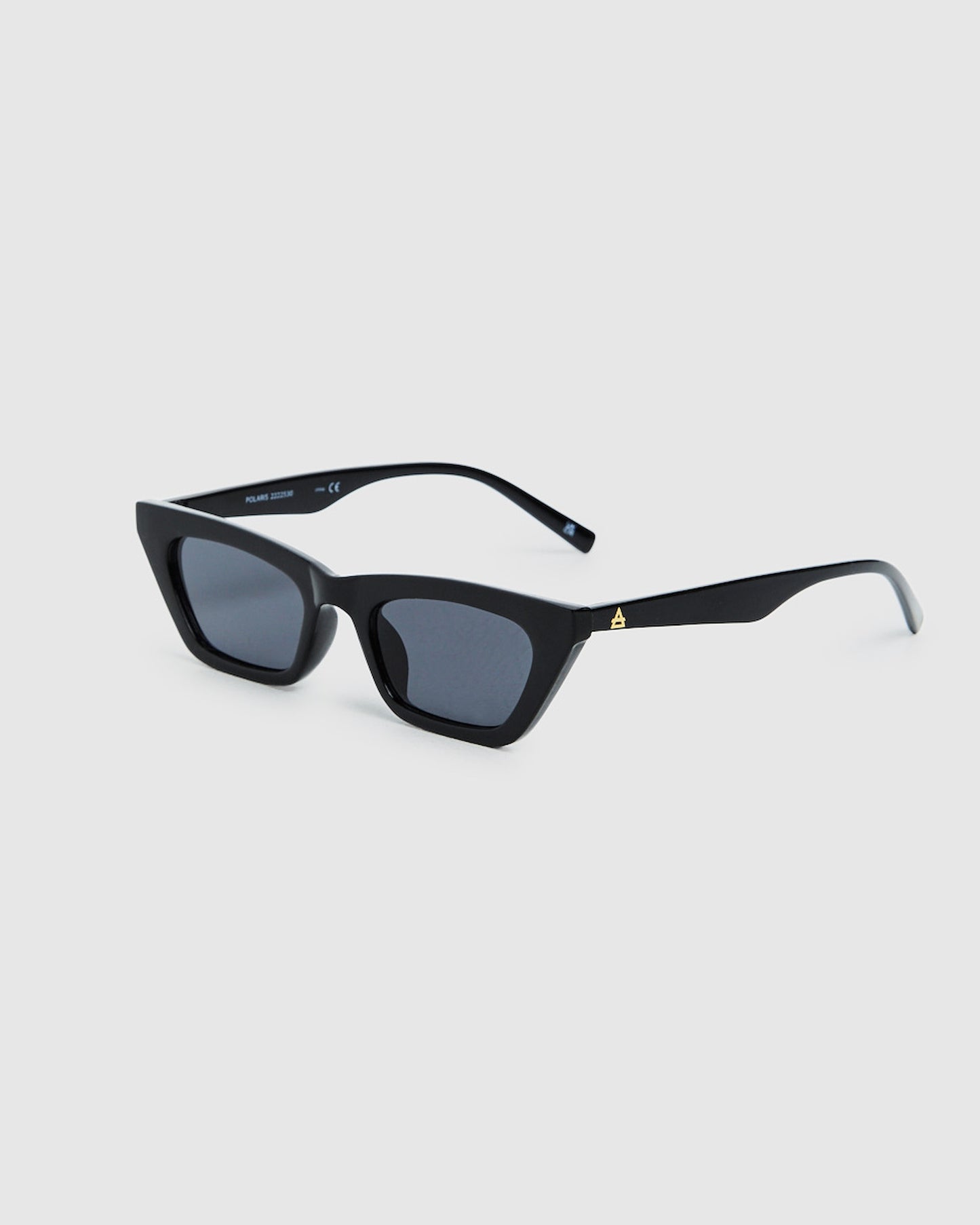 Polaris Sunglasses Black