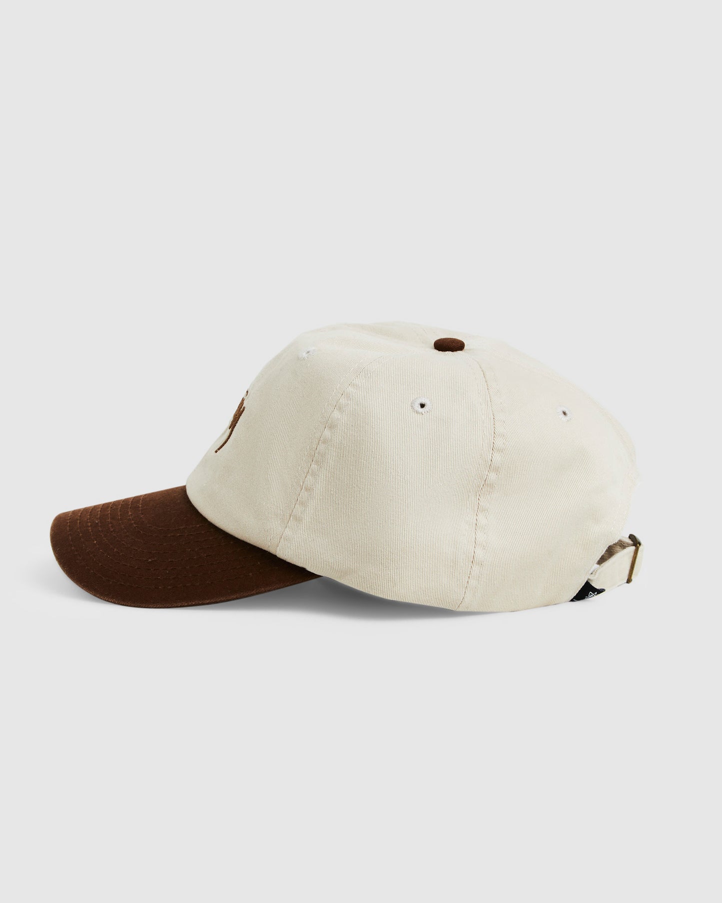 Stock Low Pro Cap in Brown