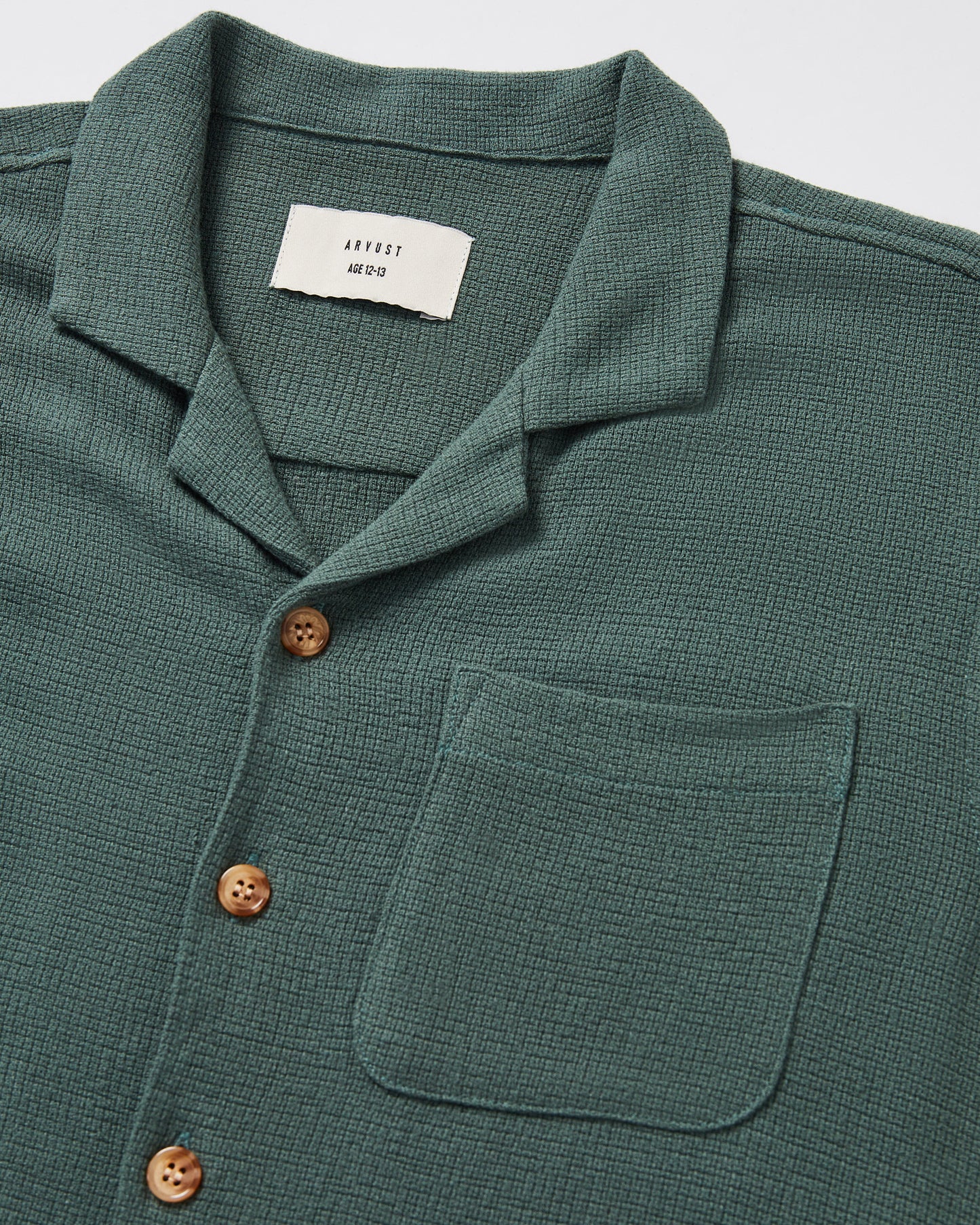 Teen Boys Textured Button Up Shirt in Forest