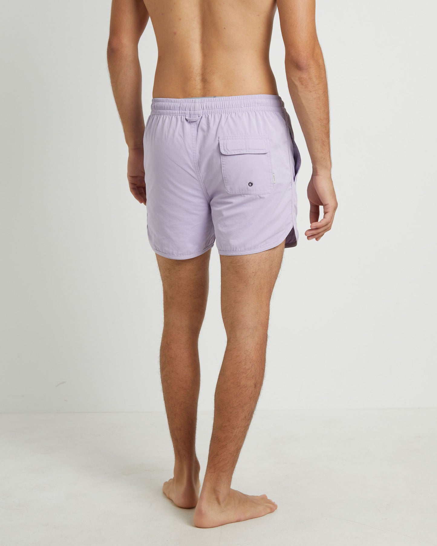 Avalon Volley Boardshorts in Lavender