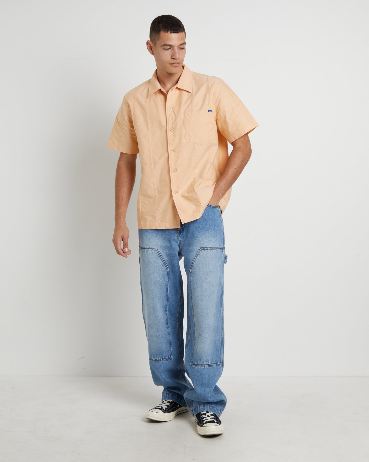 Double Knee Carpenter Pants in Vintage Wash