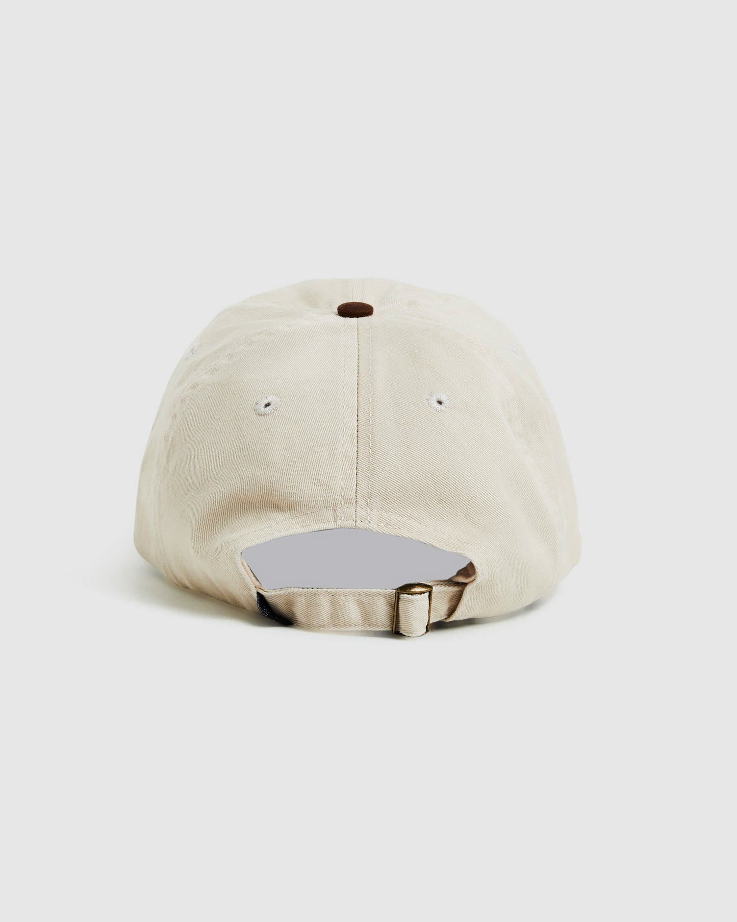Stock Low Pro Cap in Brown