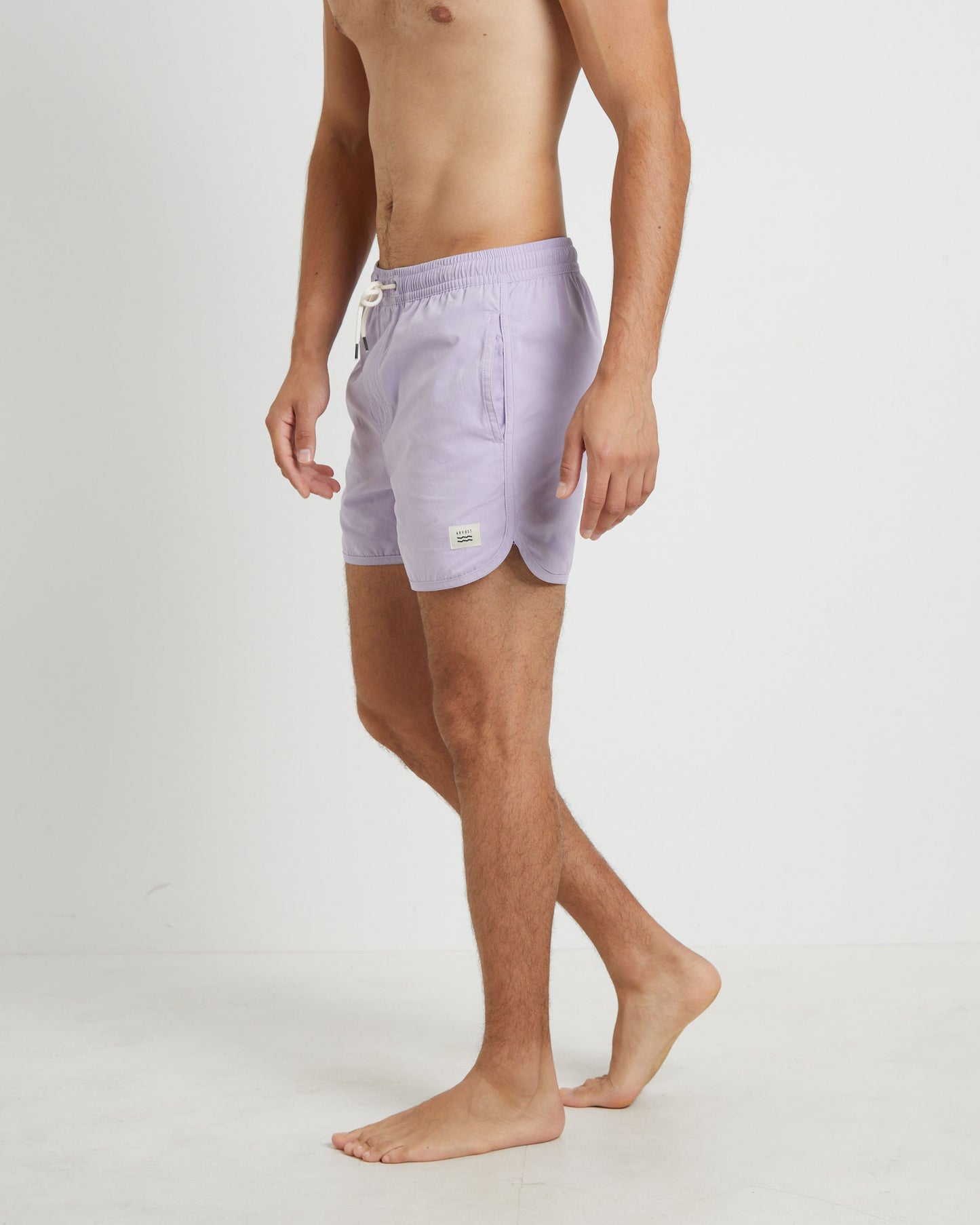 Avalon Volley Boardshorts in Lavender