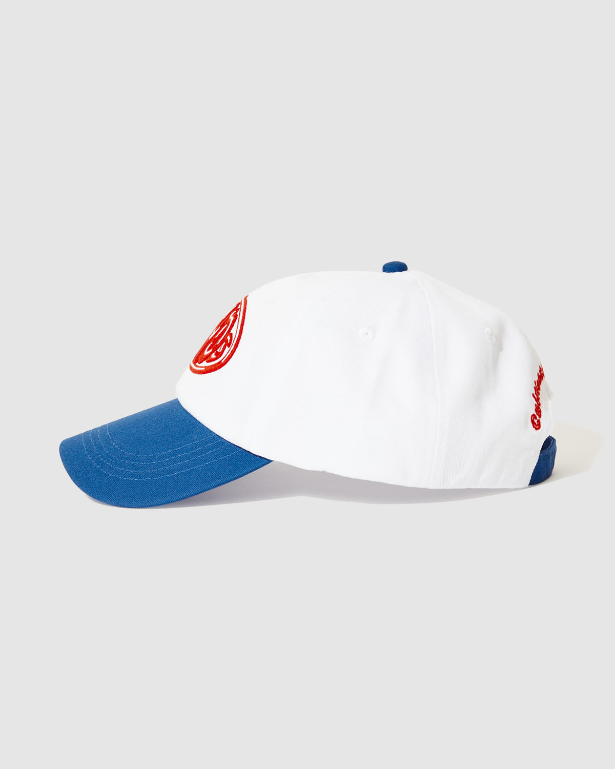 Frogga Six Panel Cap WHITE