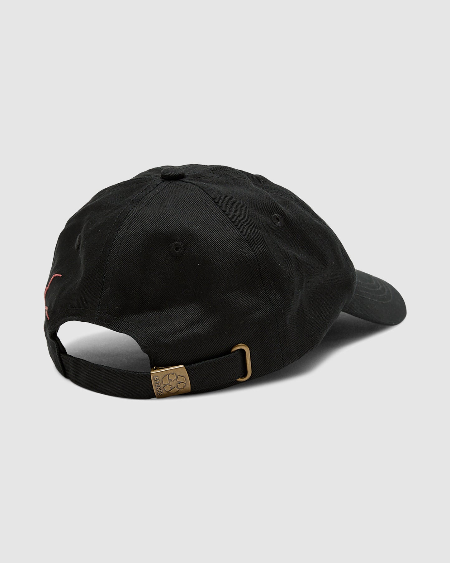 Webhead Six Panel Cap