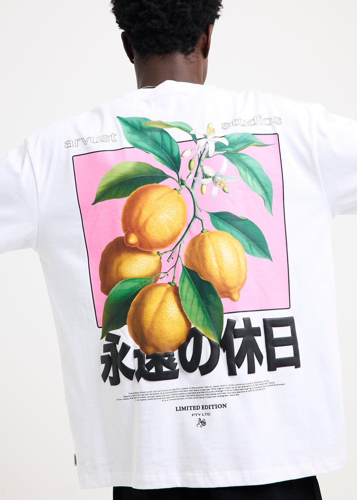 Sunfade T-Shirt WHITE