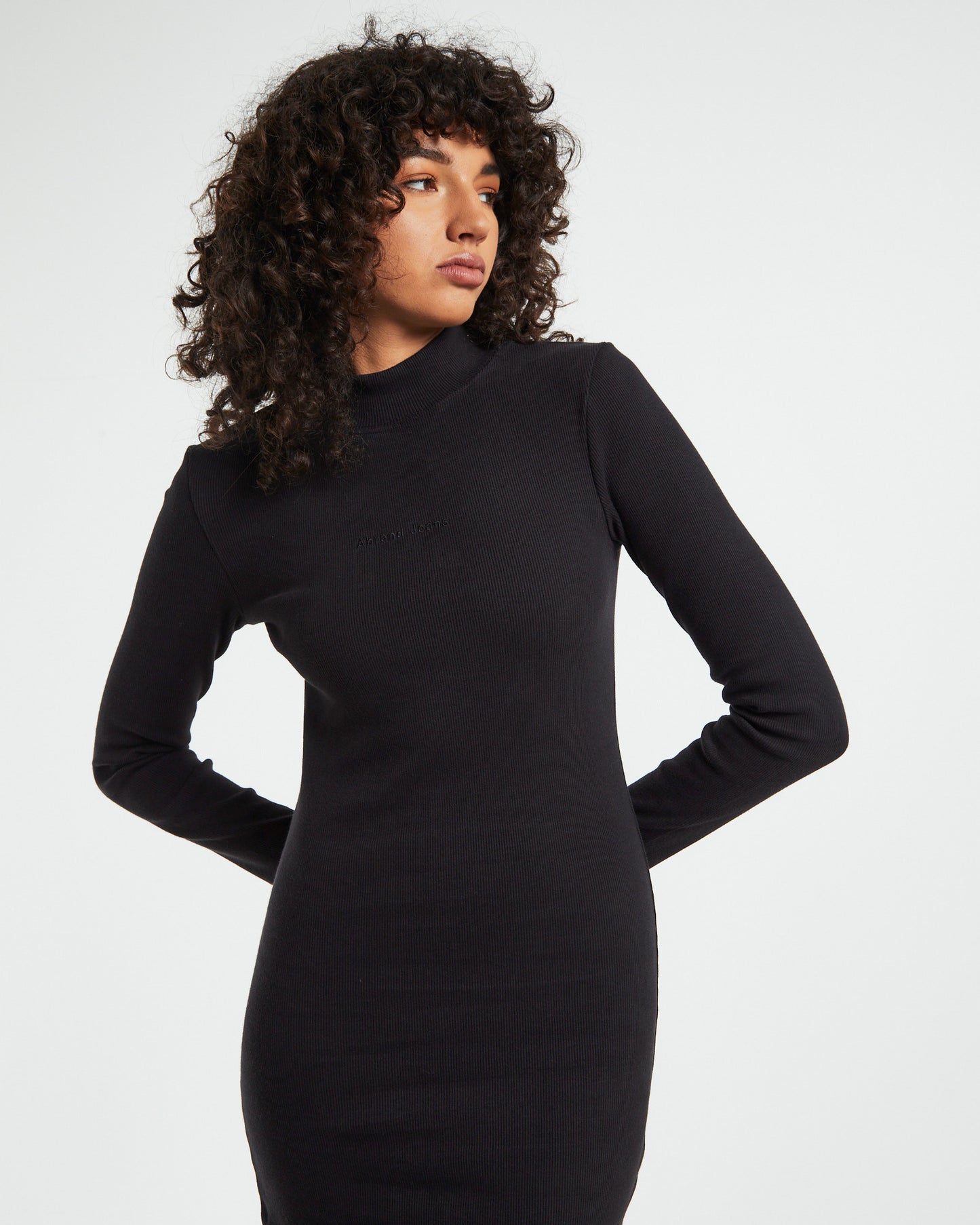 A Heather Long Sleeve Mock Neck Dress Black